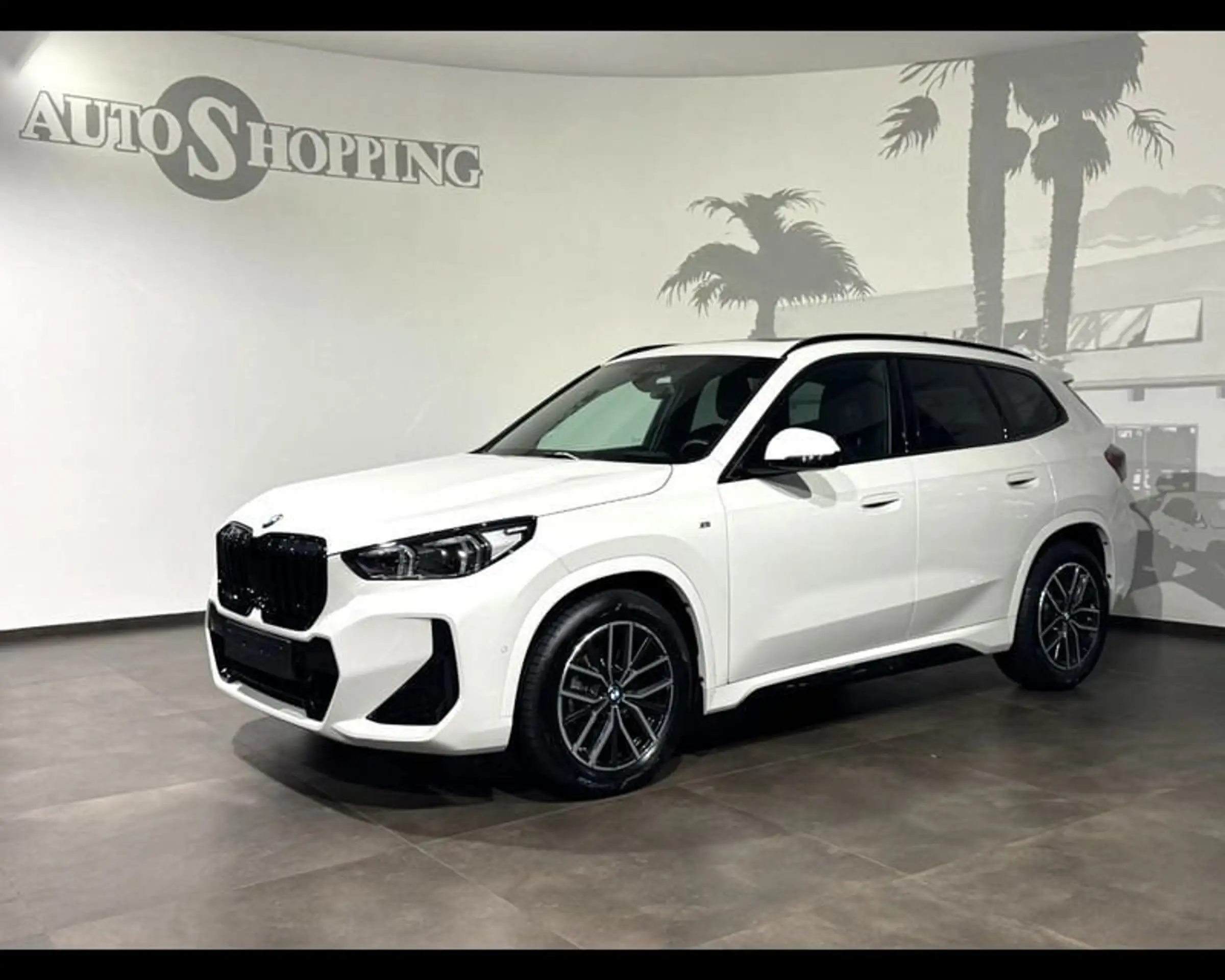 BMW - X1