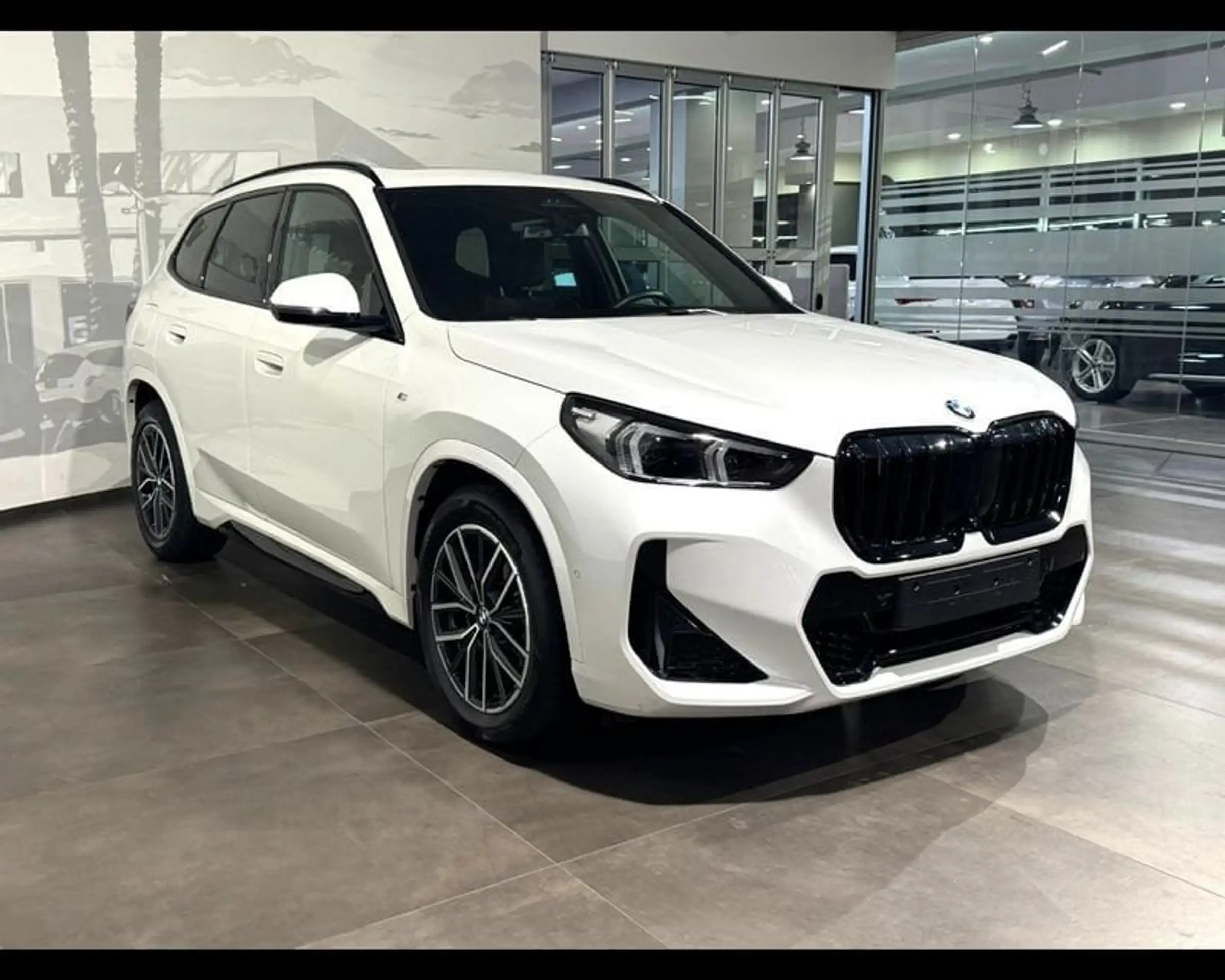 BMW - X1