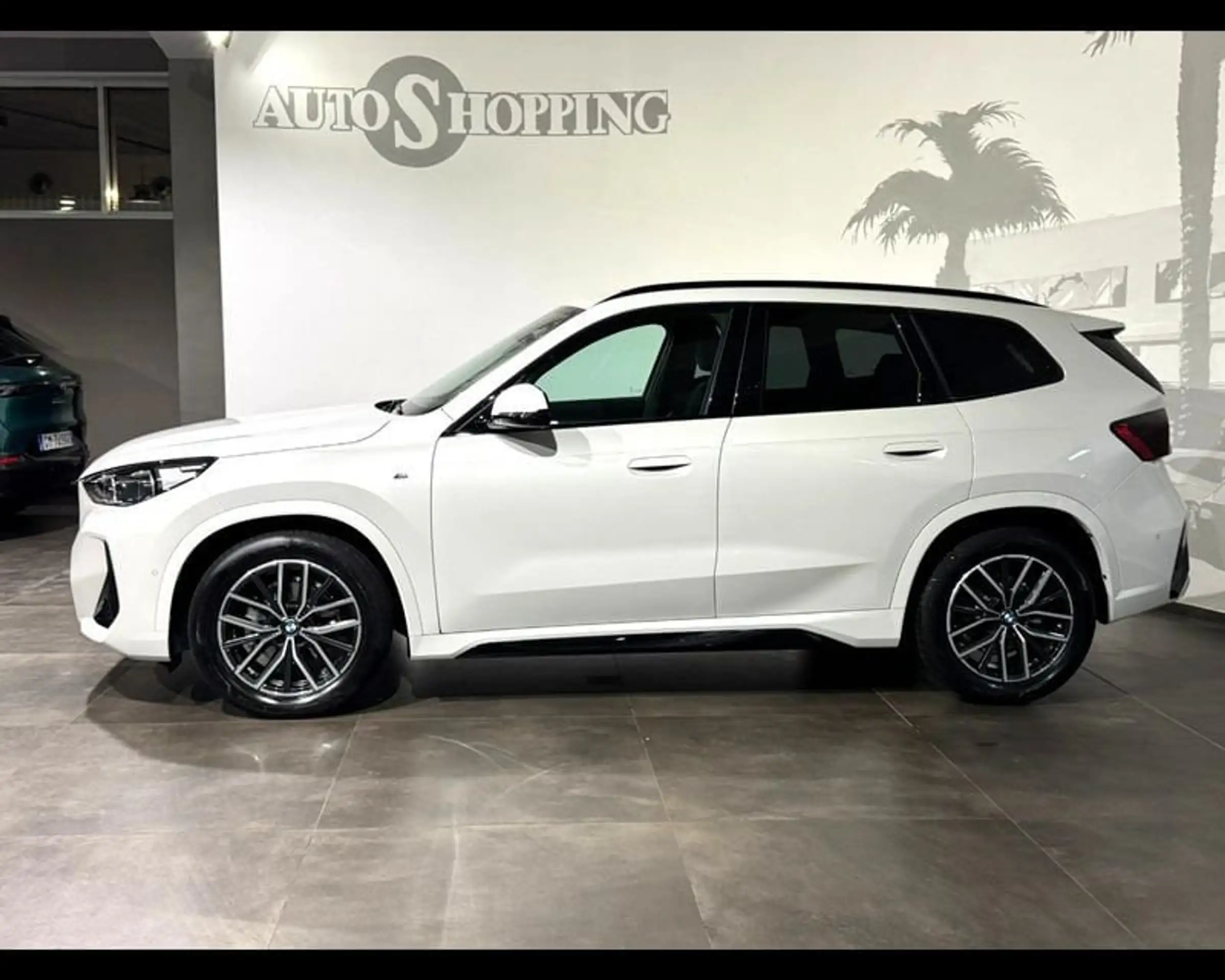 BMW - X1