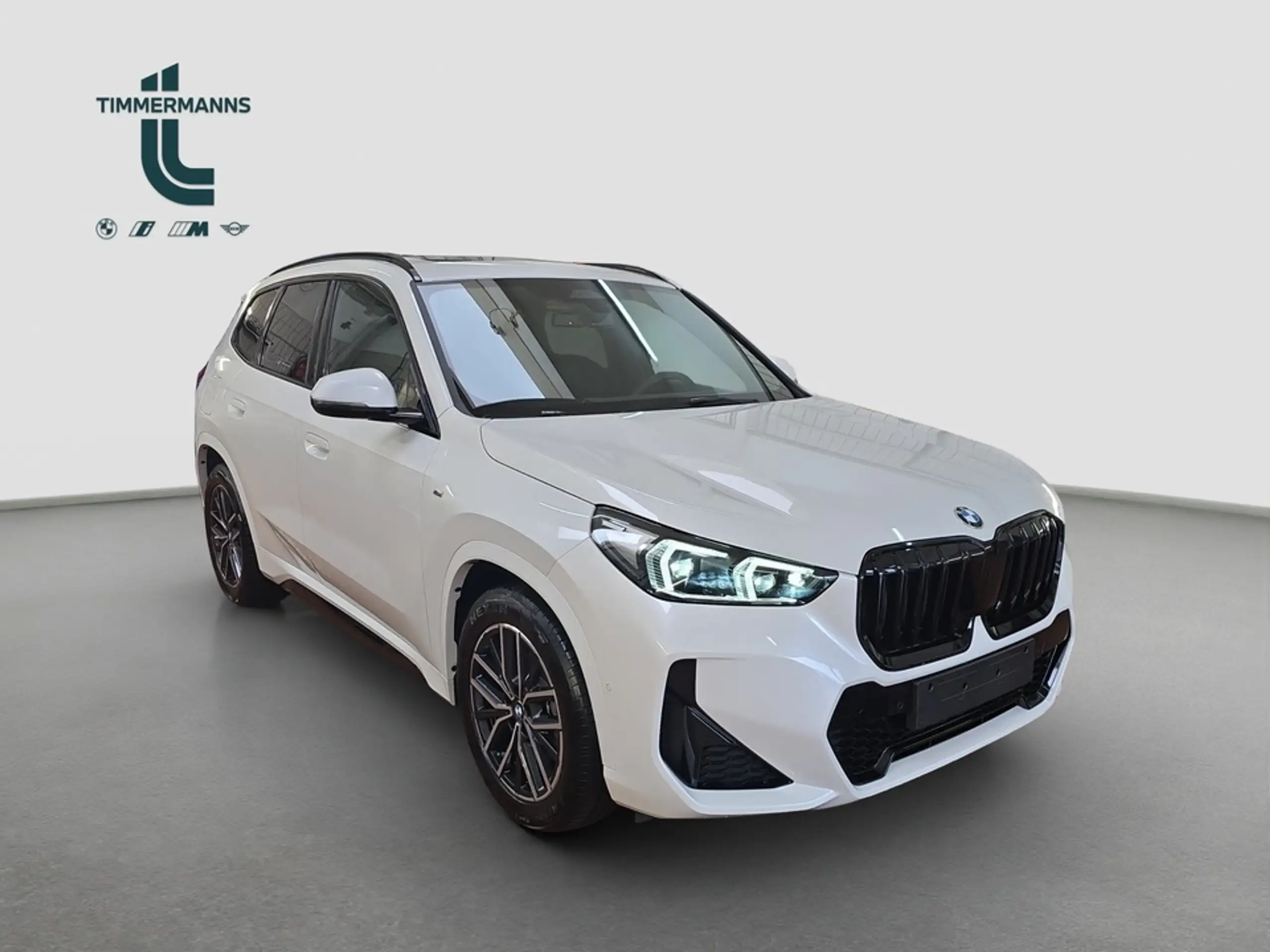 BMW - X1