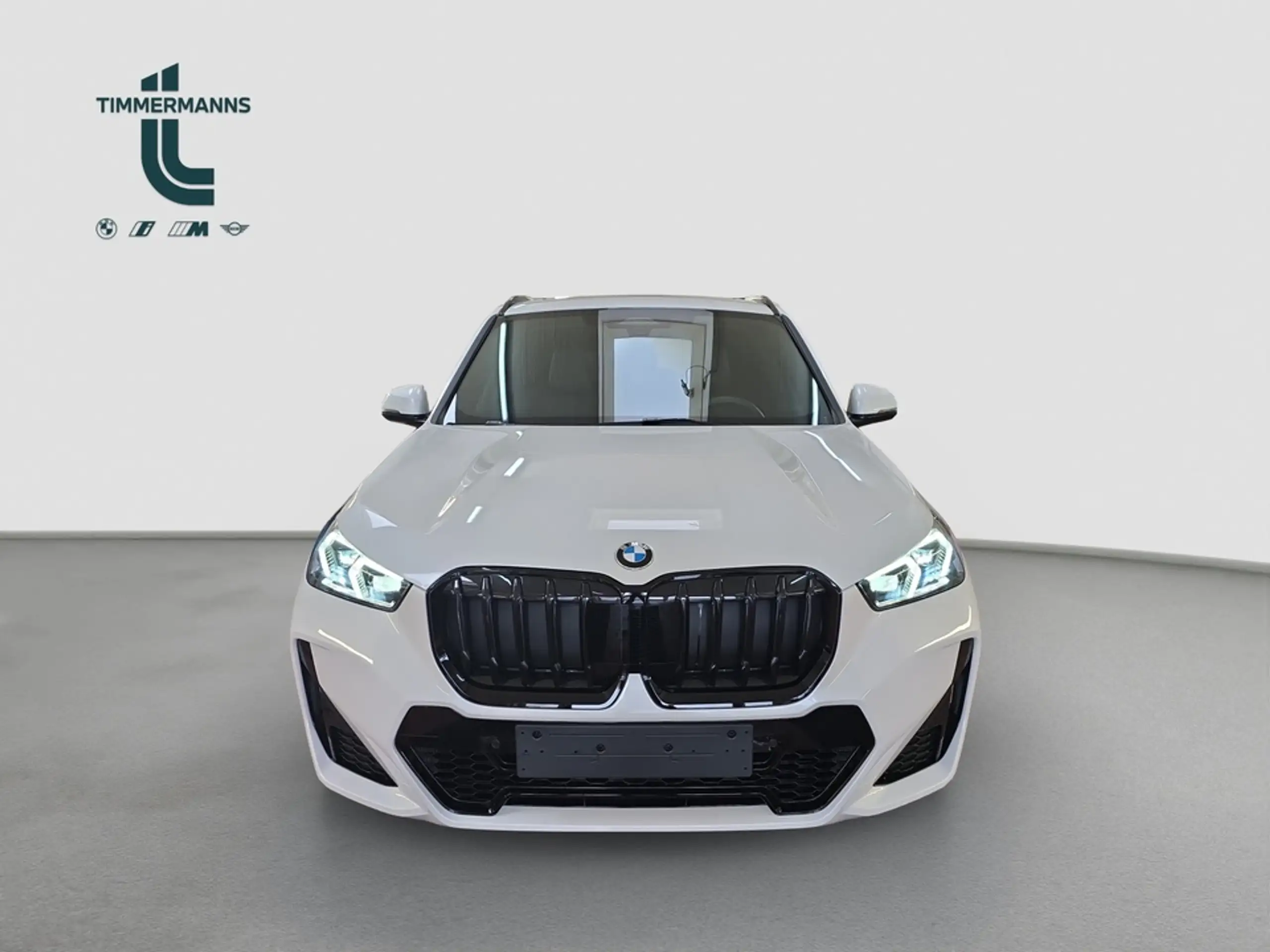 BMW - X1