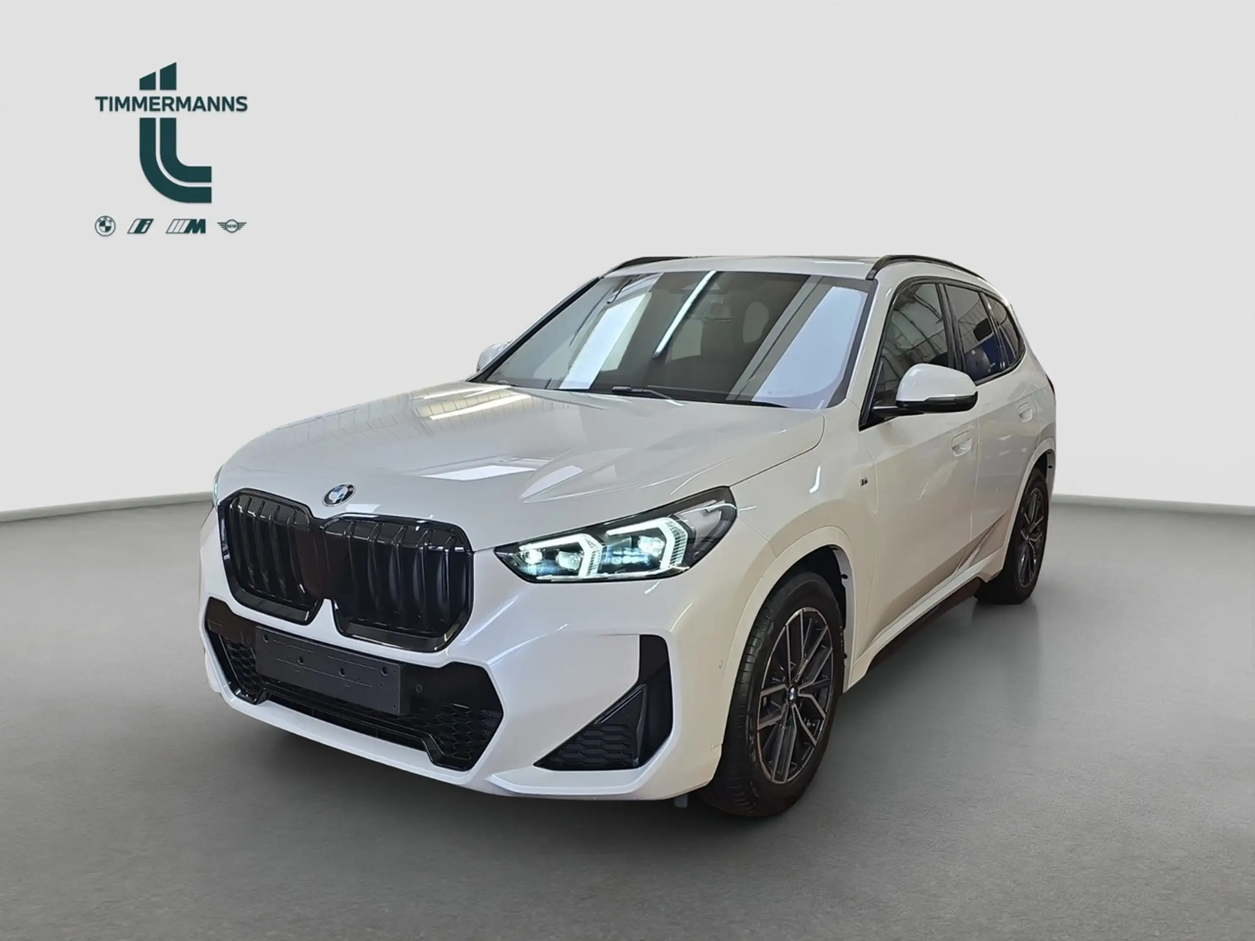 BMW - X1