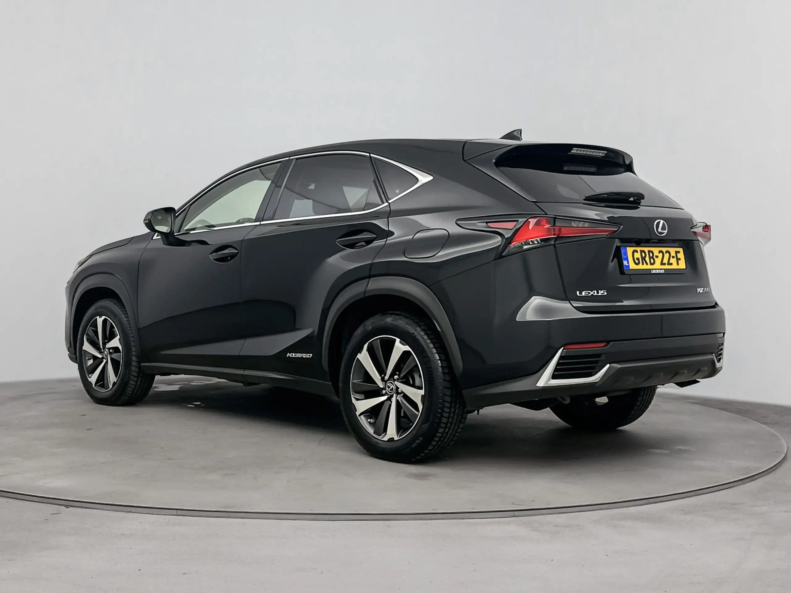 Lexus - NX 300h