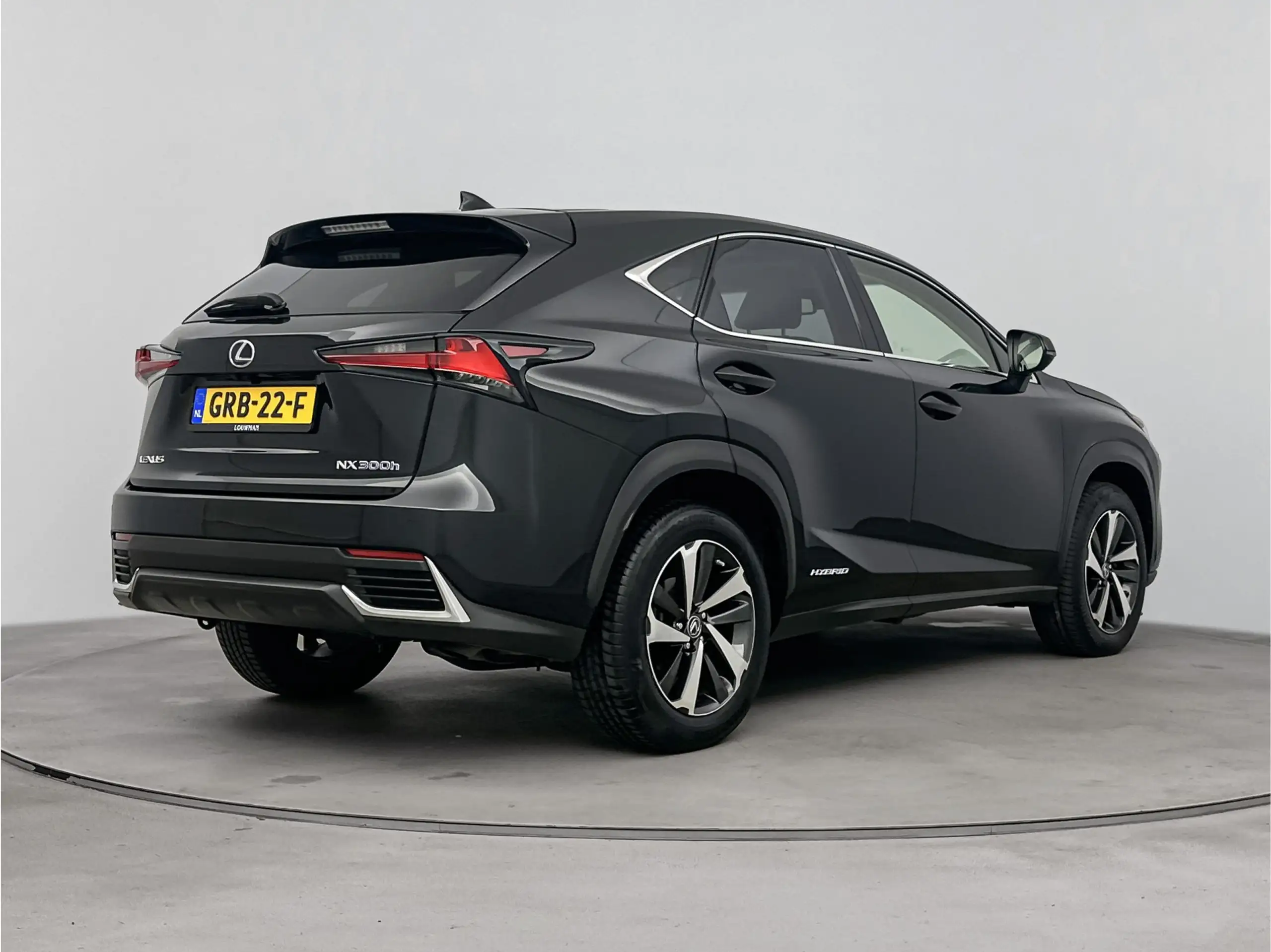 Lexus - NX 300h