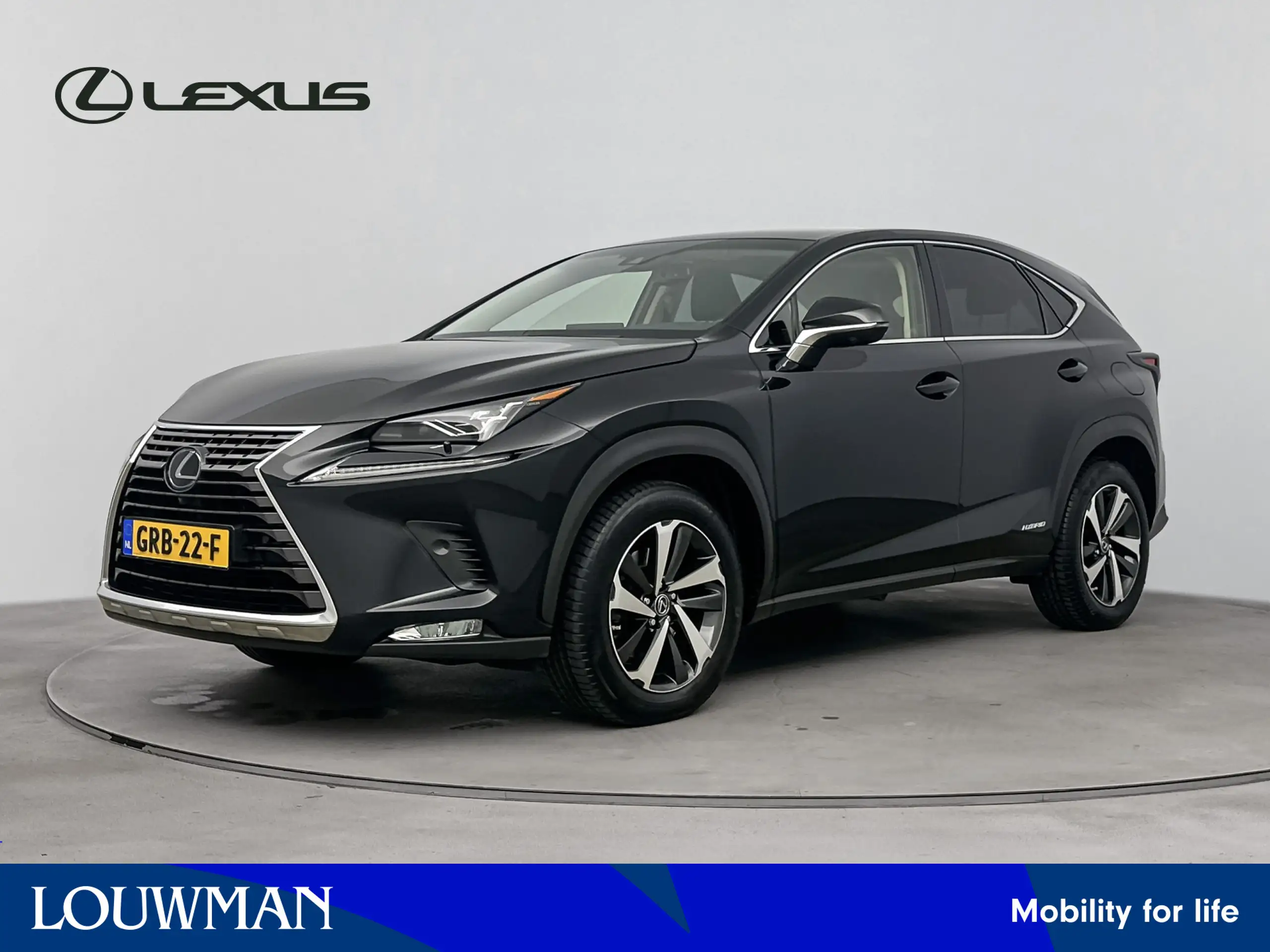 Lexus - NX 300h