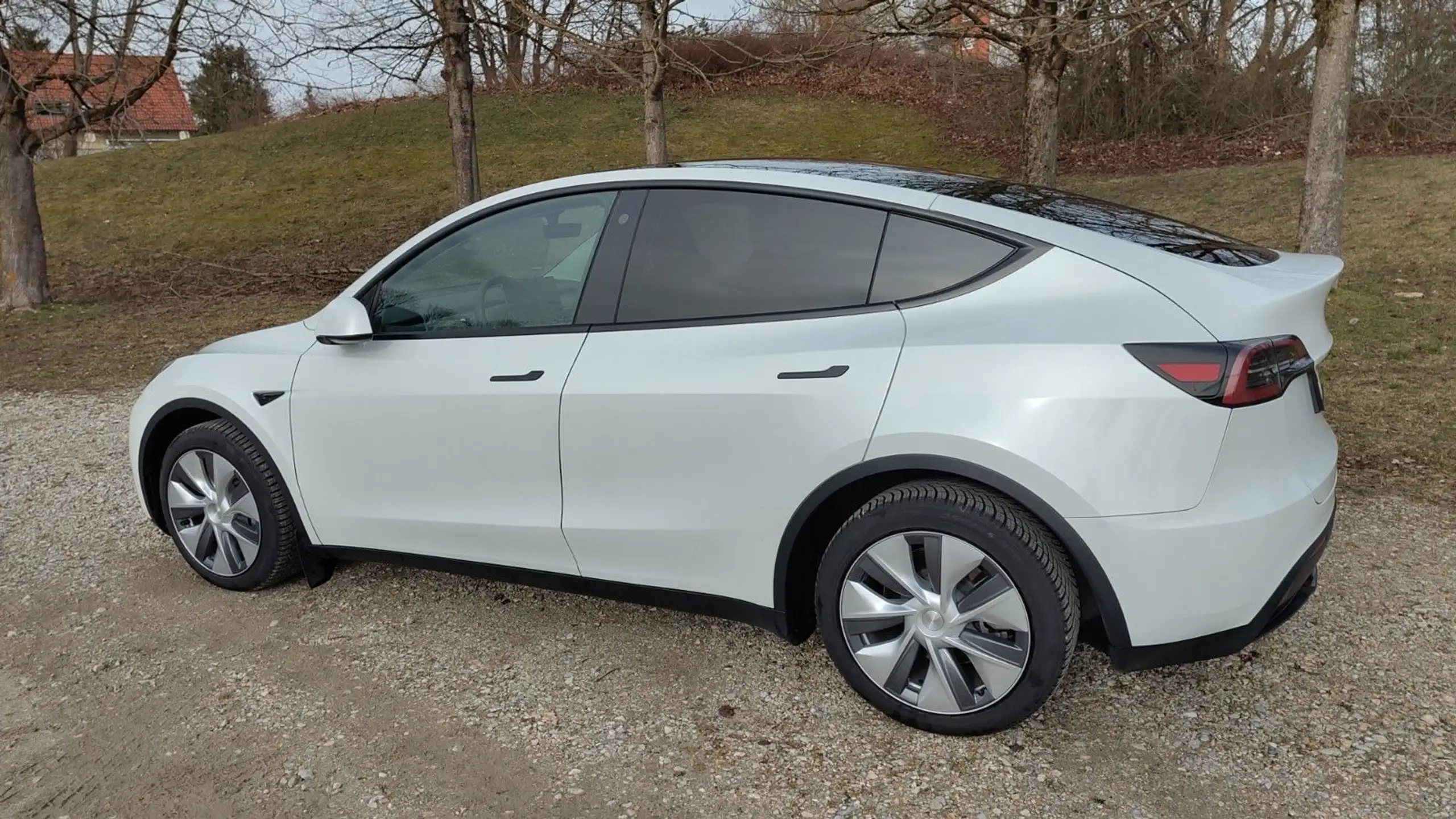 Tesla - Model Y