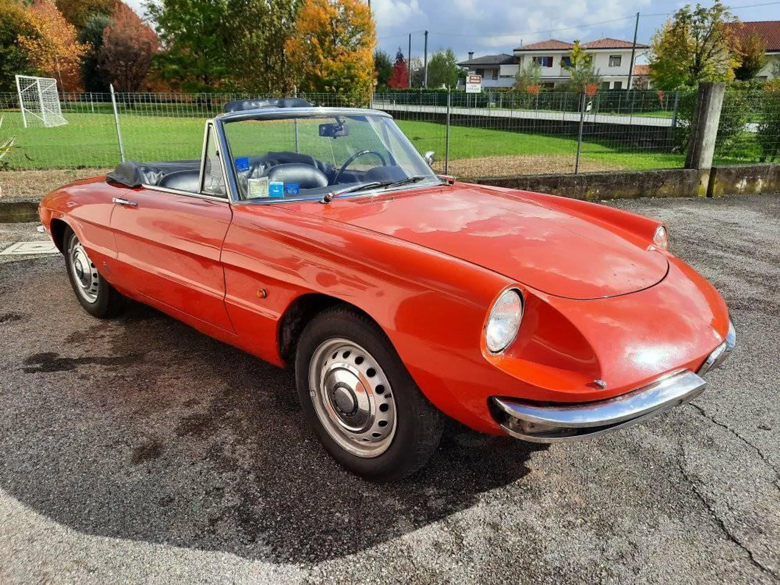 Alfa Romeo - Spider