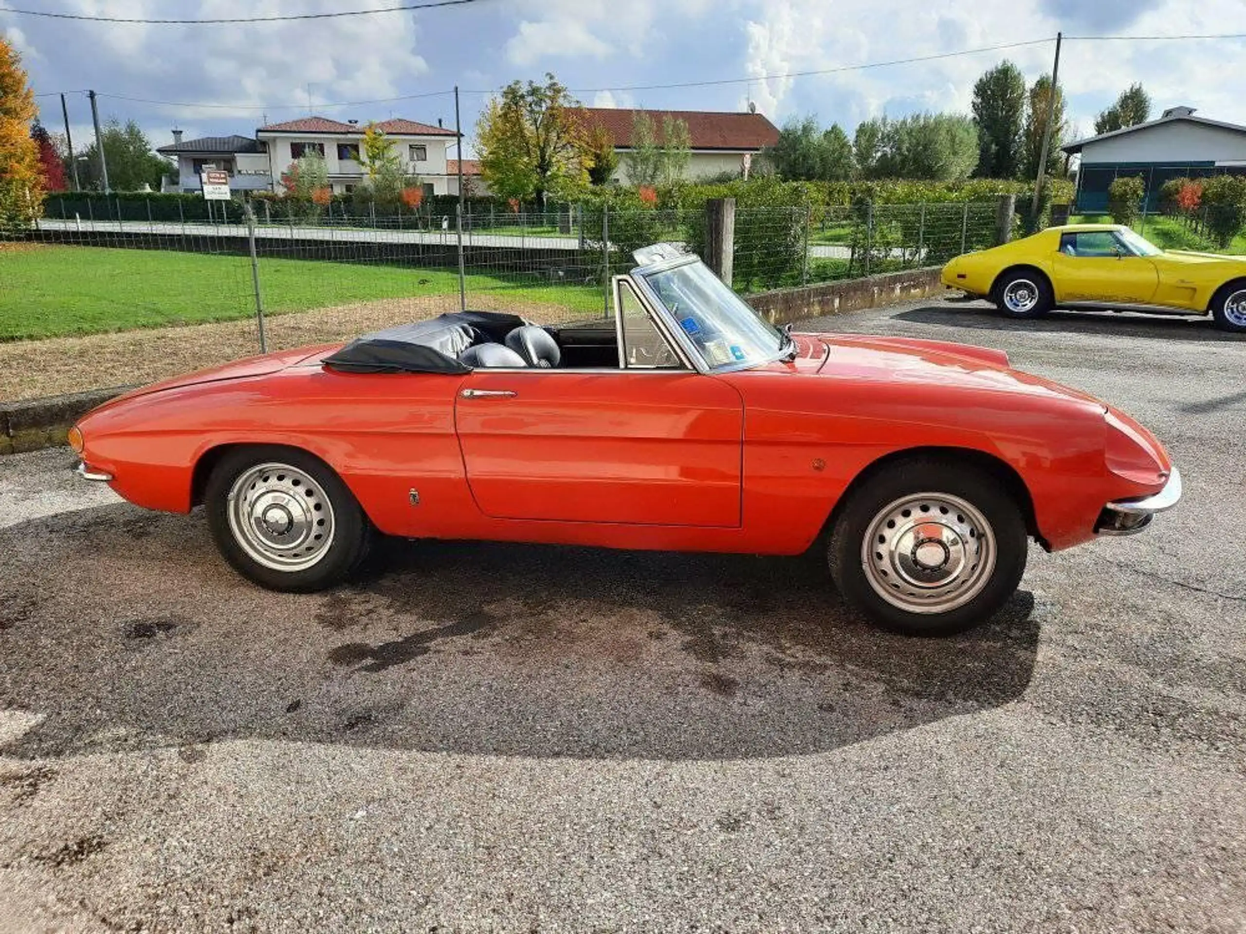 Alfa Romeo - Spider