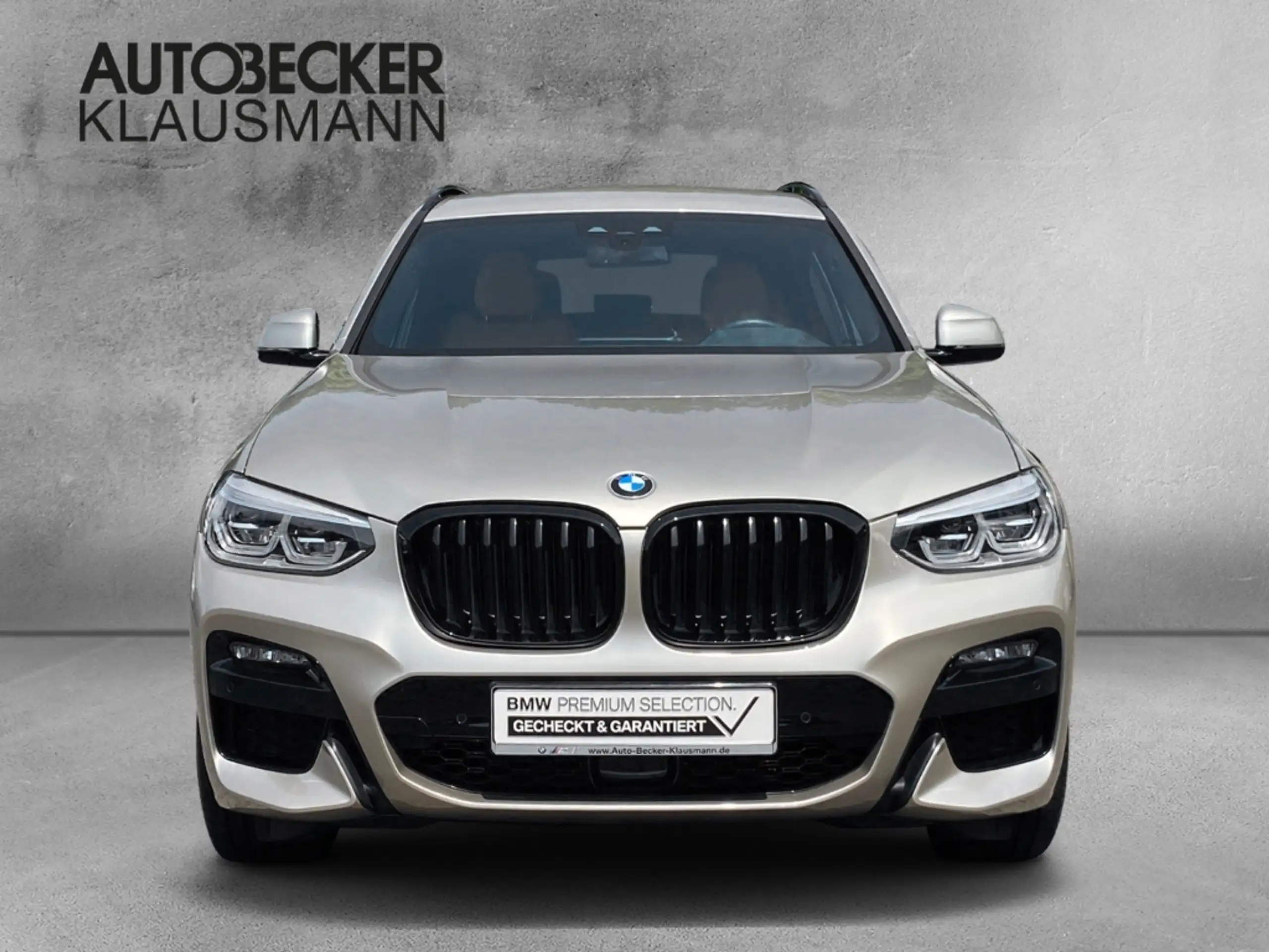 BMW - X3