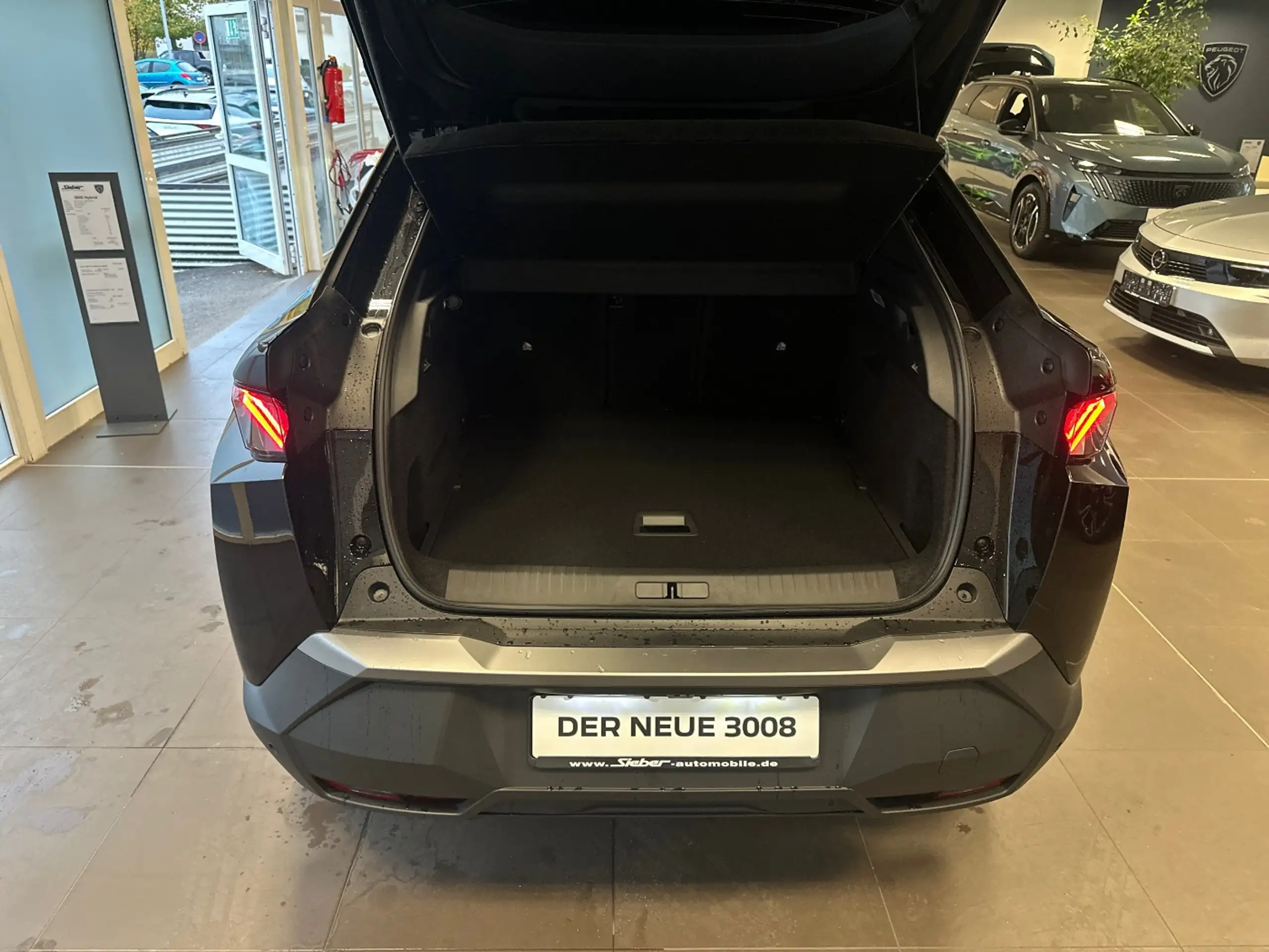 Peugeot - 3008