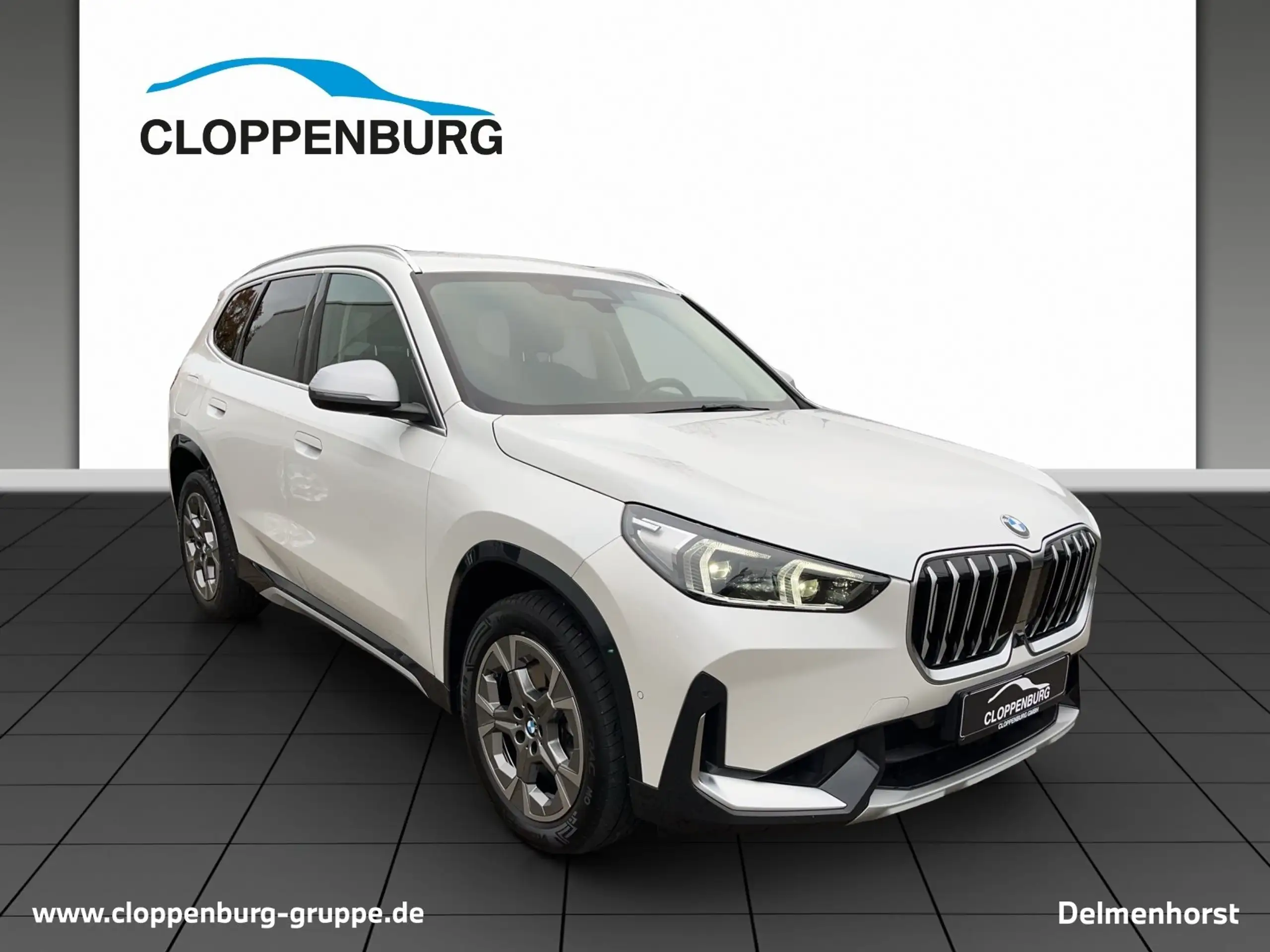 BMW - X1