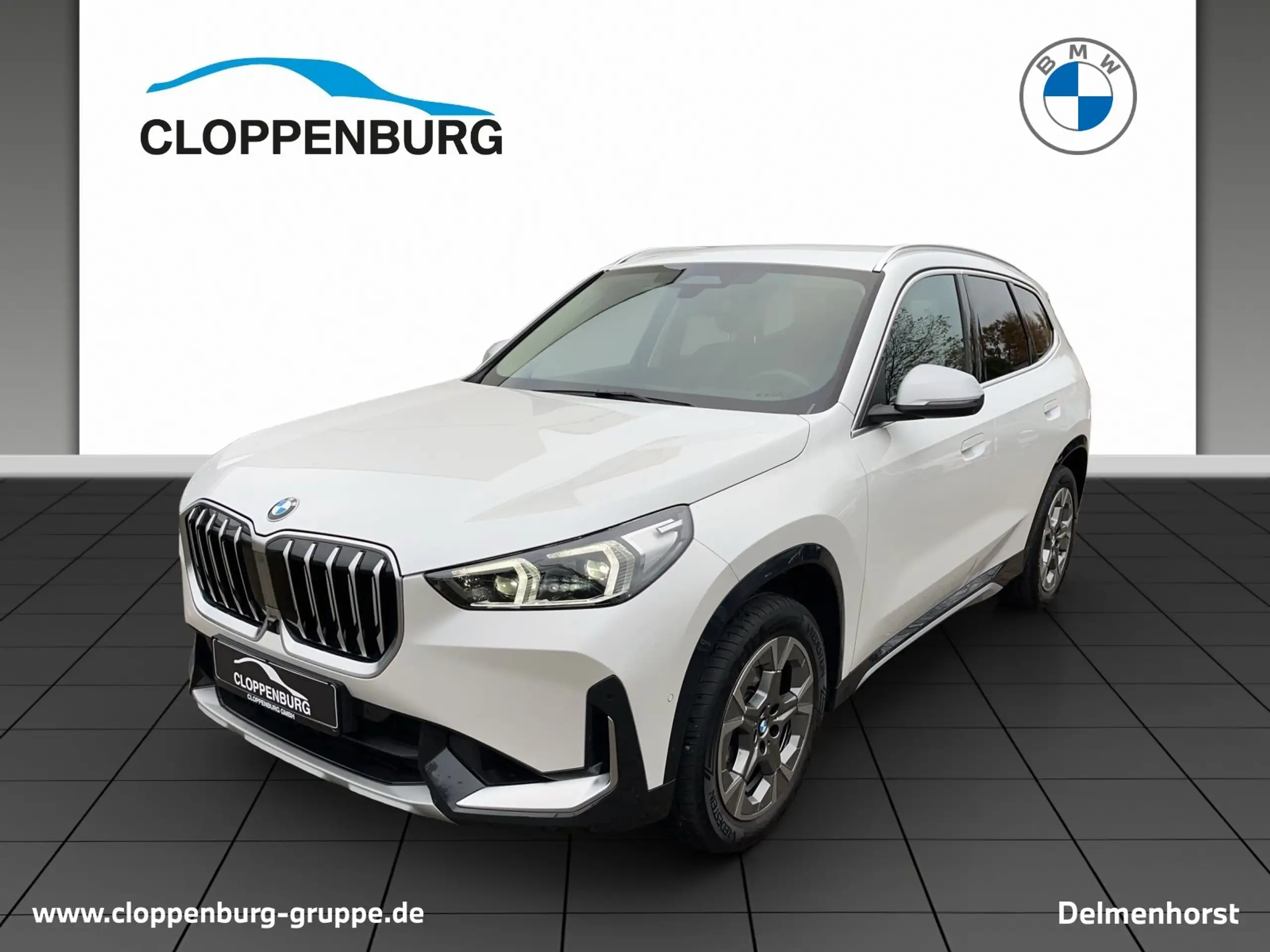 BMW - X1