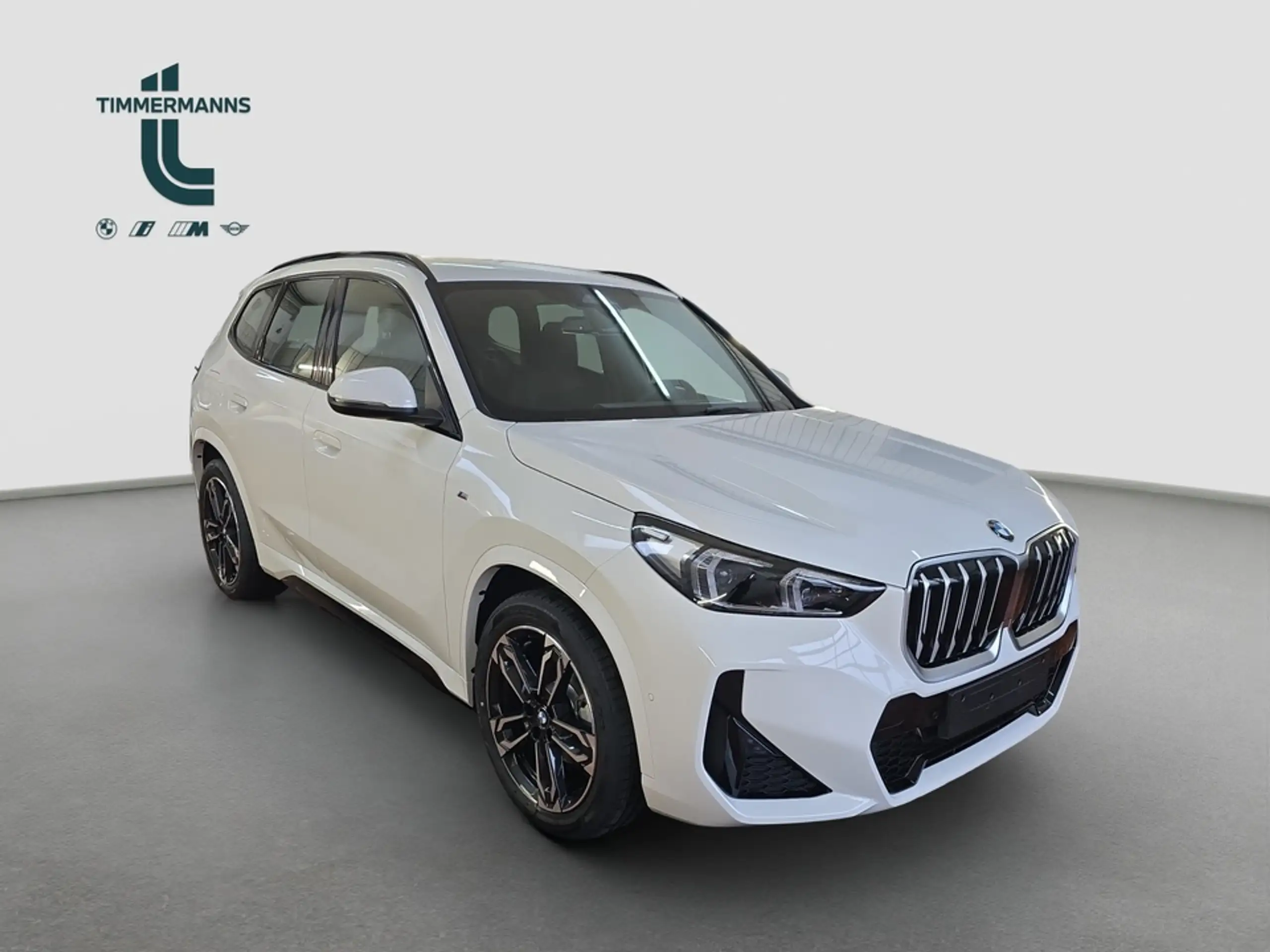 BMW - X1