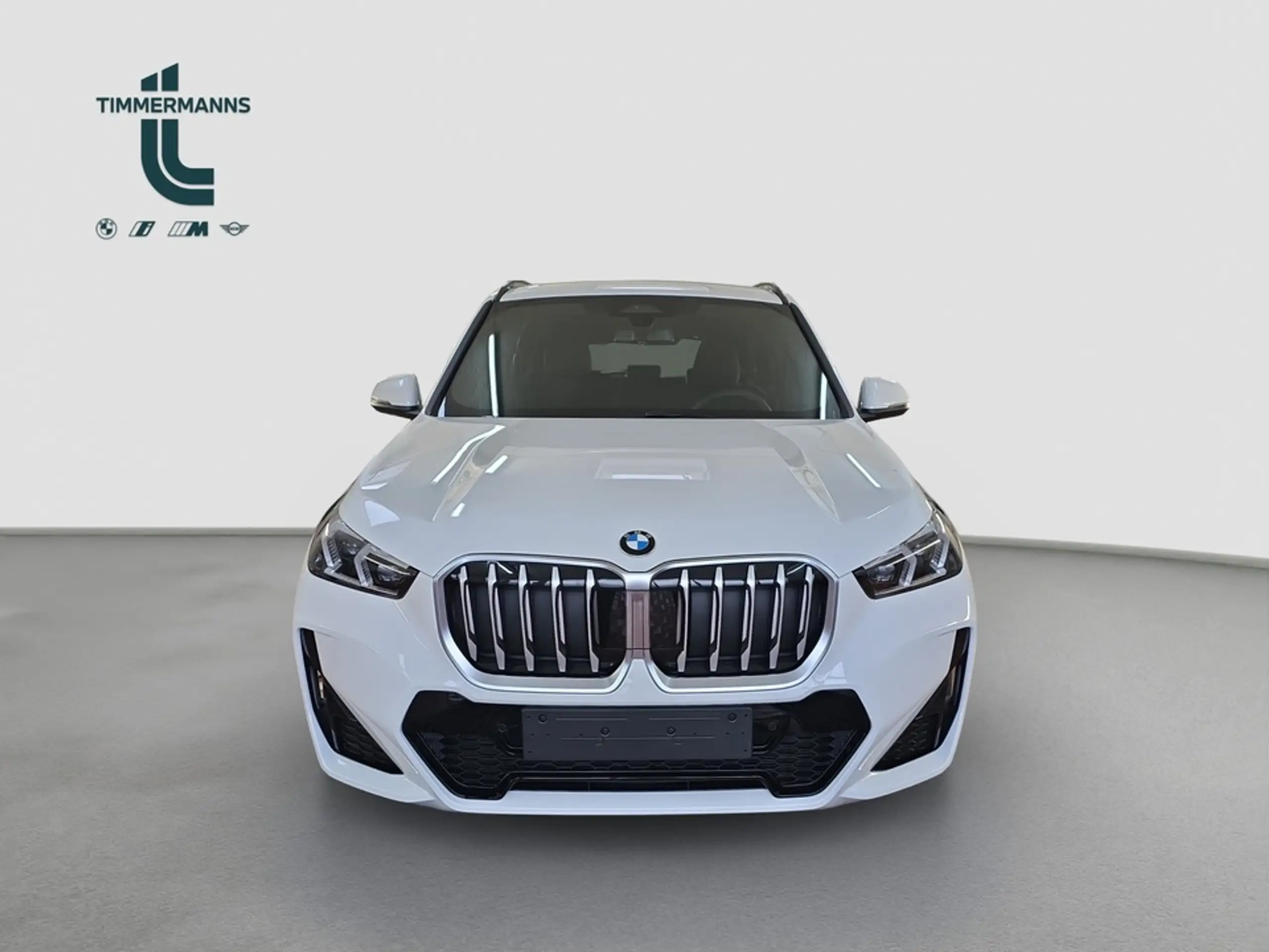 BMW - X1