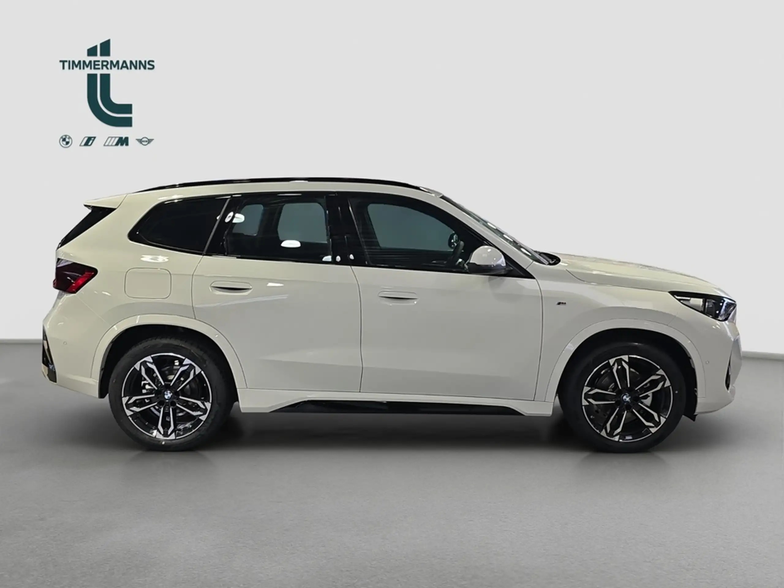 BMW - X1