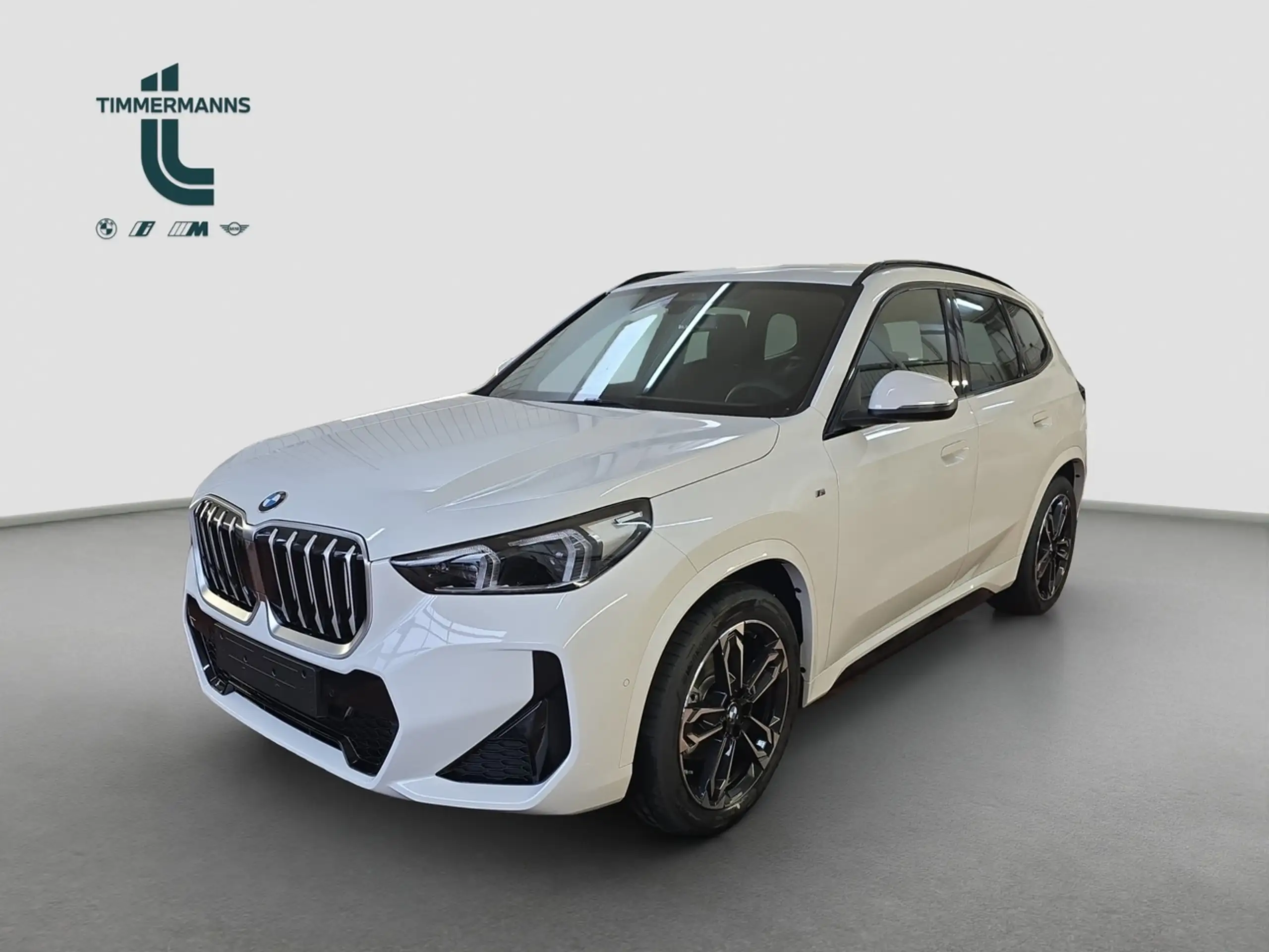 BMW - X1