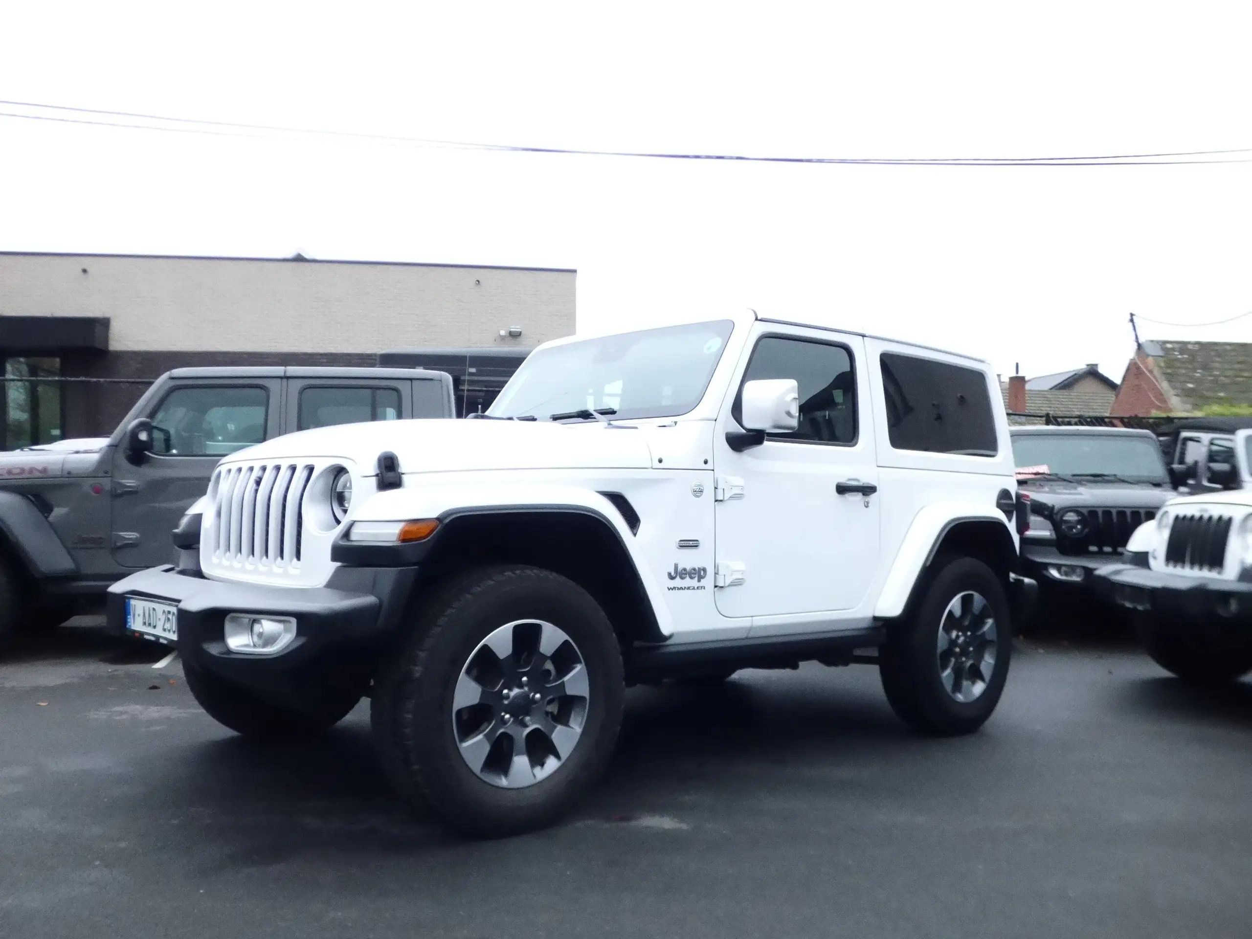 Jeep - Wrangler