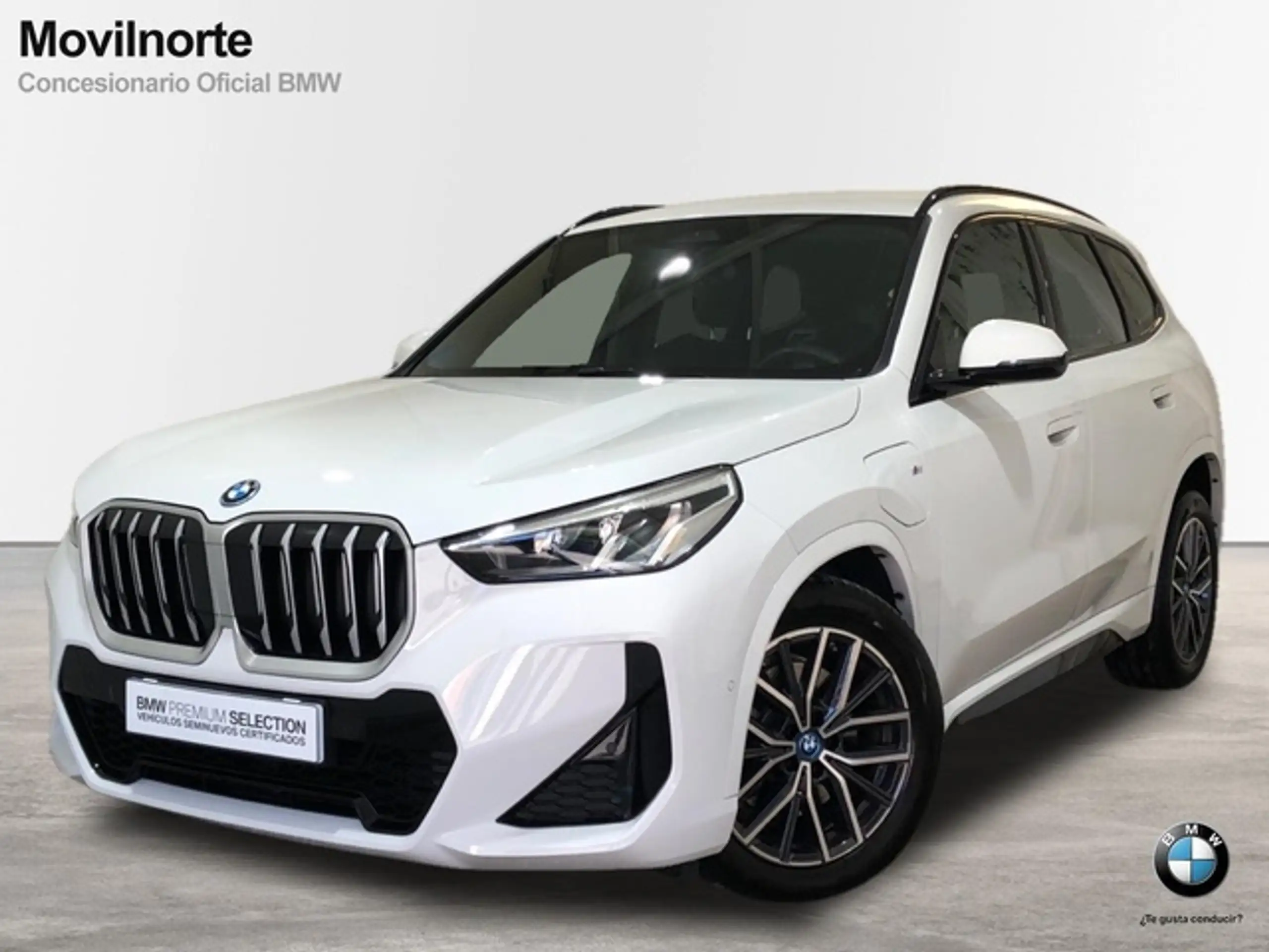 BMW - X1