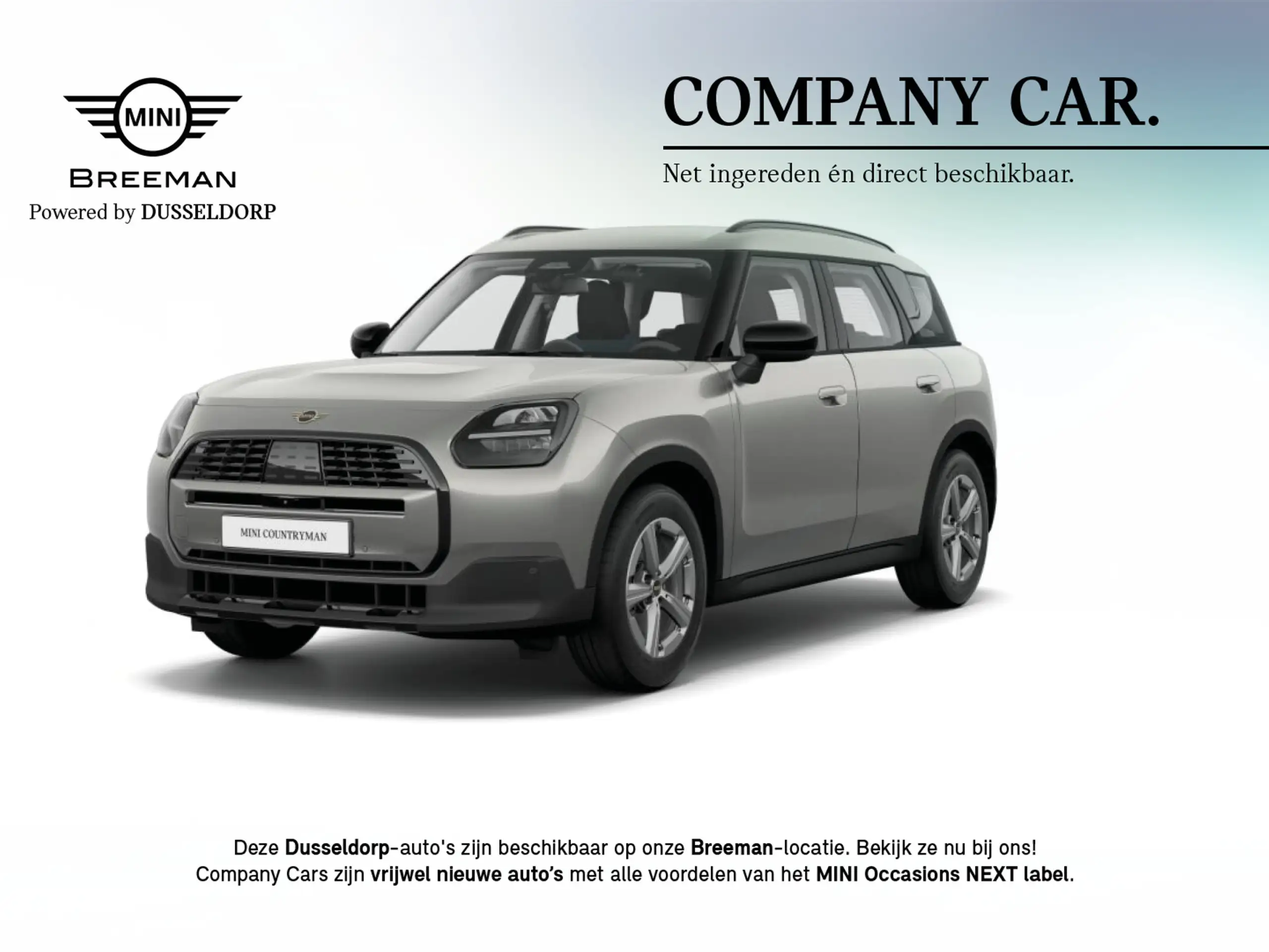 MINI - Countryman C