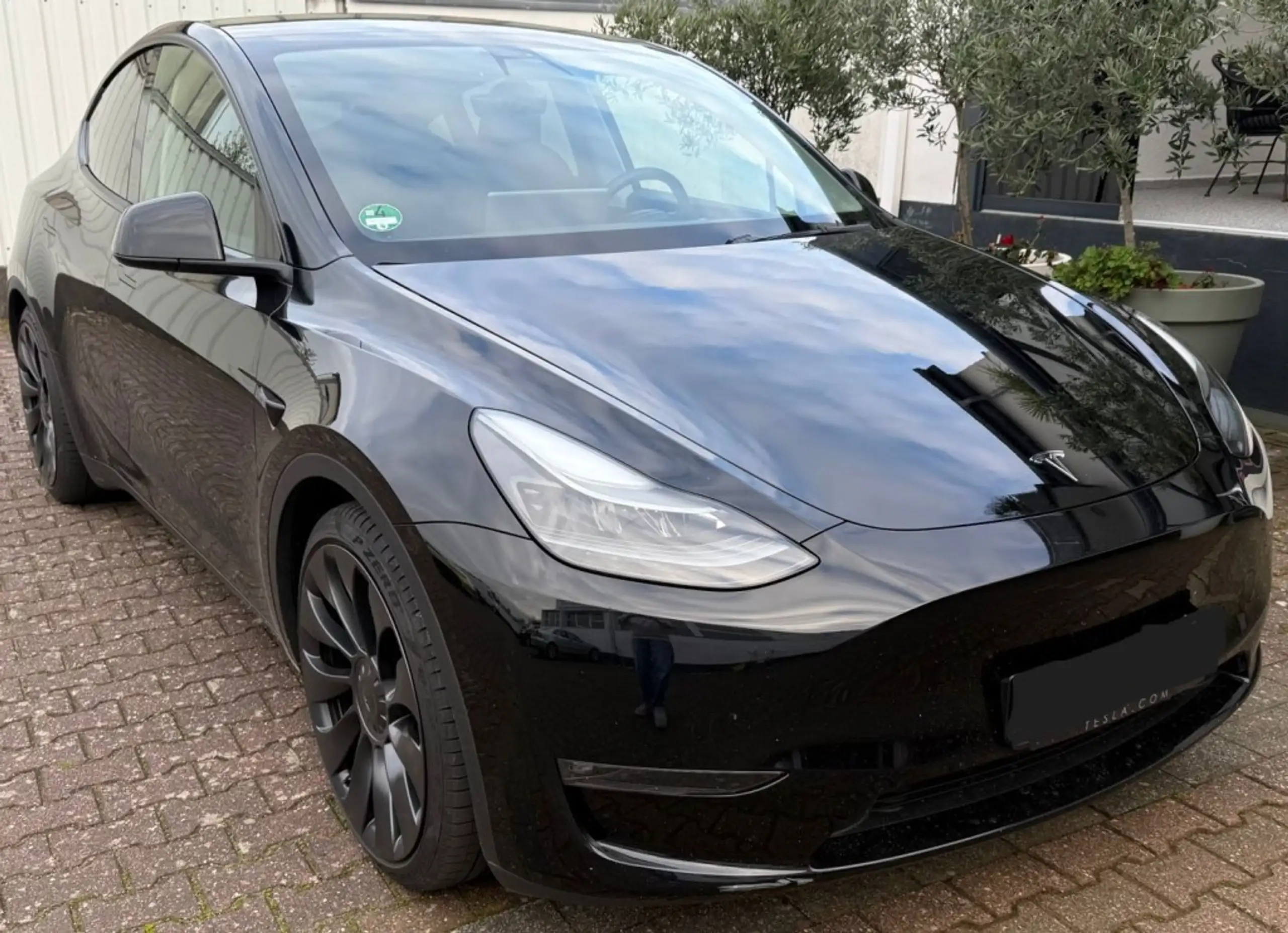 Tesla - Model Y