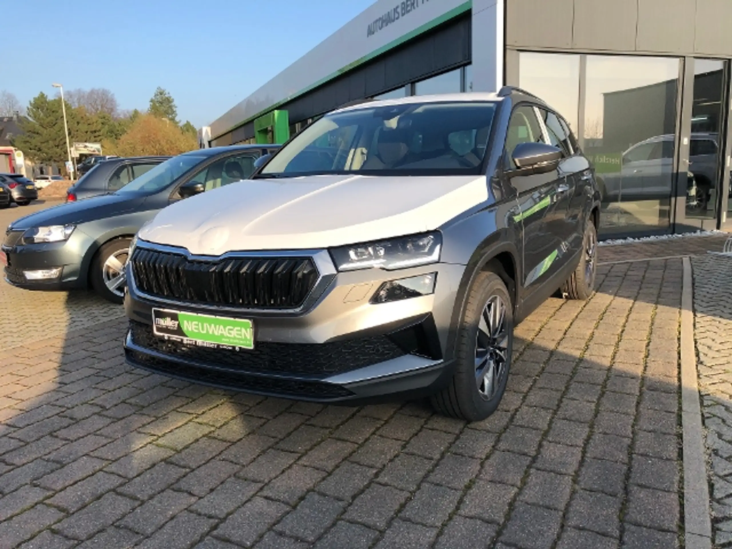 Skoda - Karoq