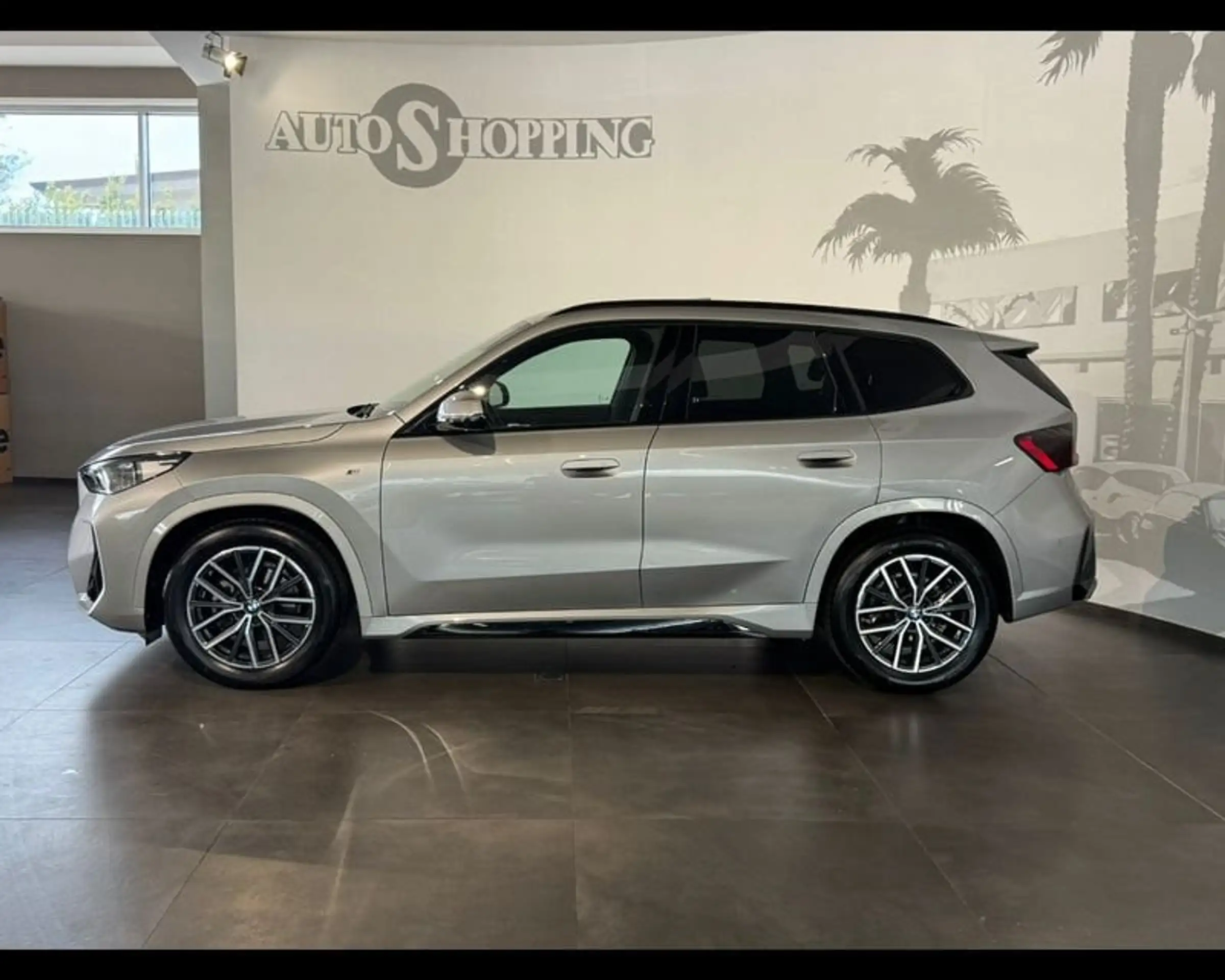 BMW - X1