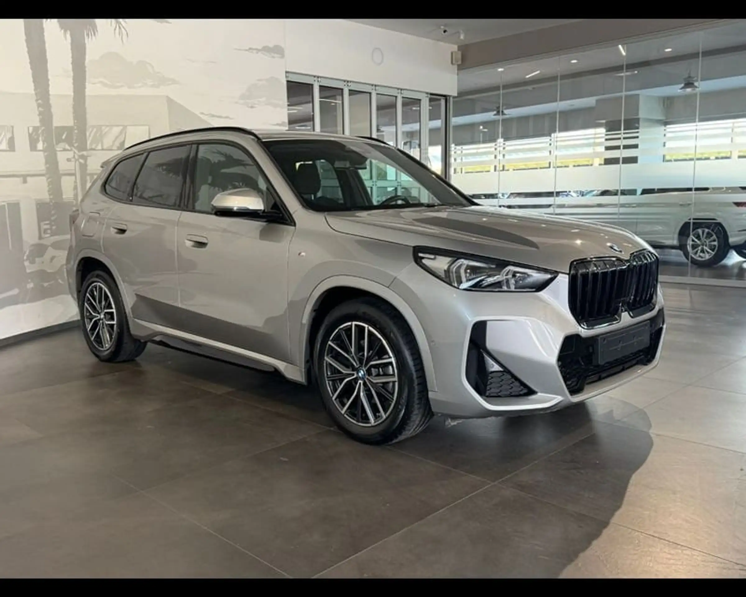 BMW - X1