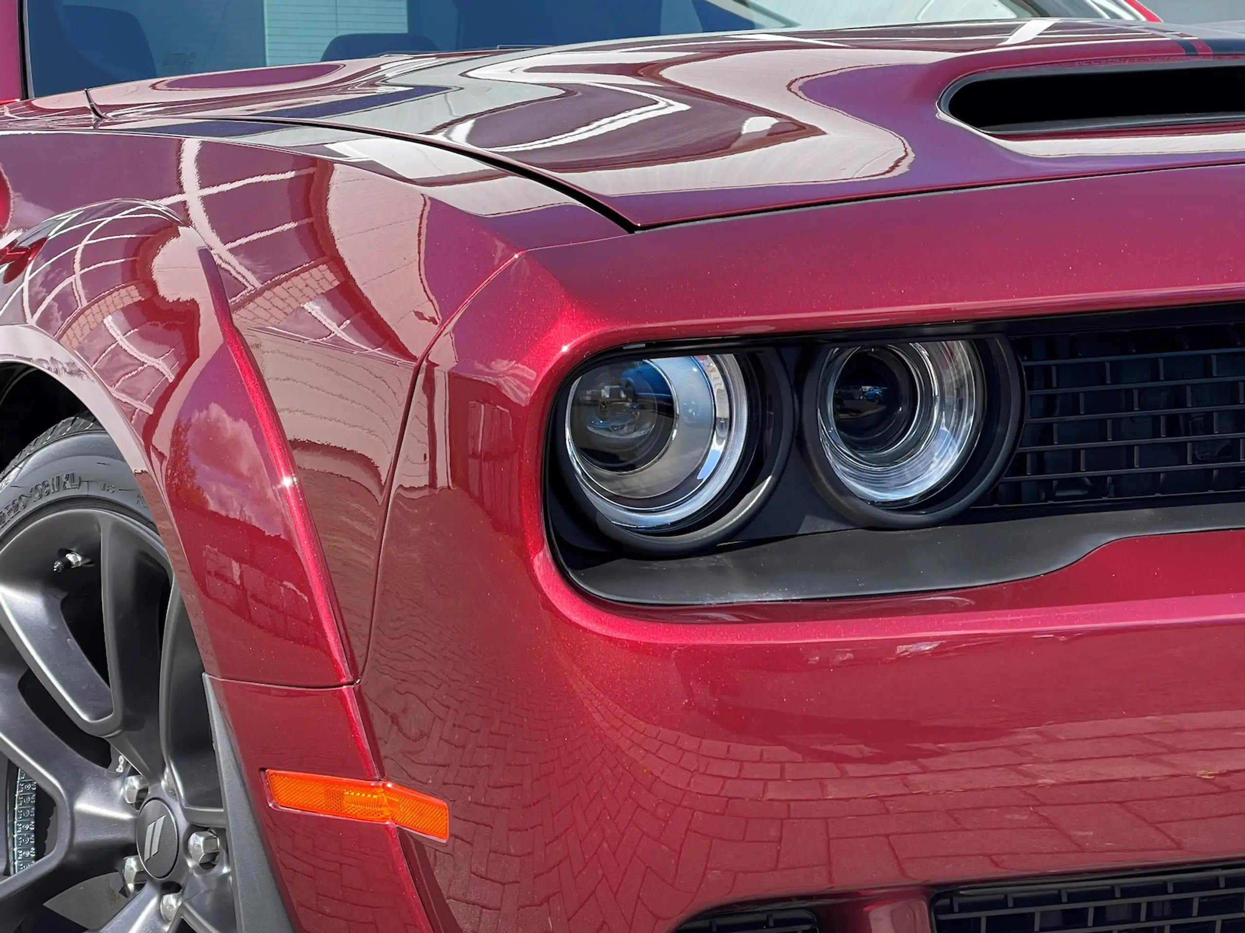 Dodge - Challenger