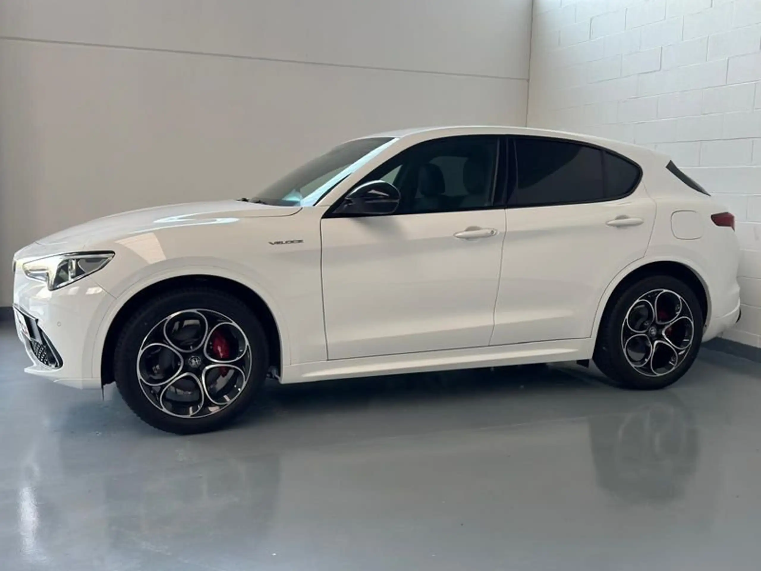 Alfa Romeo - Stelvio