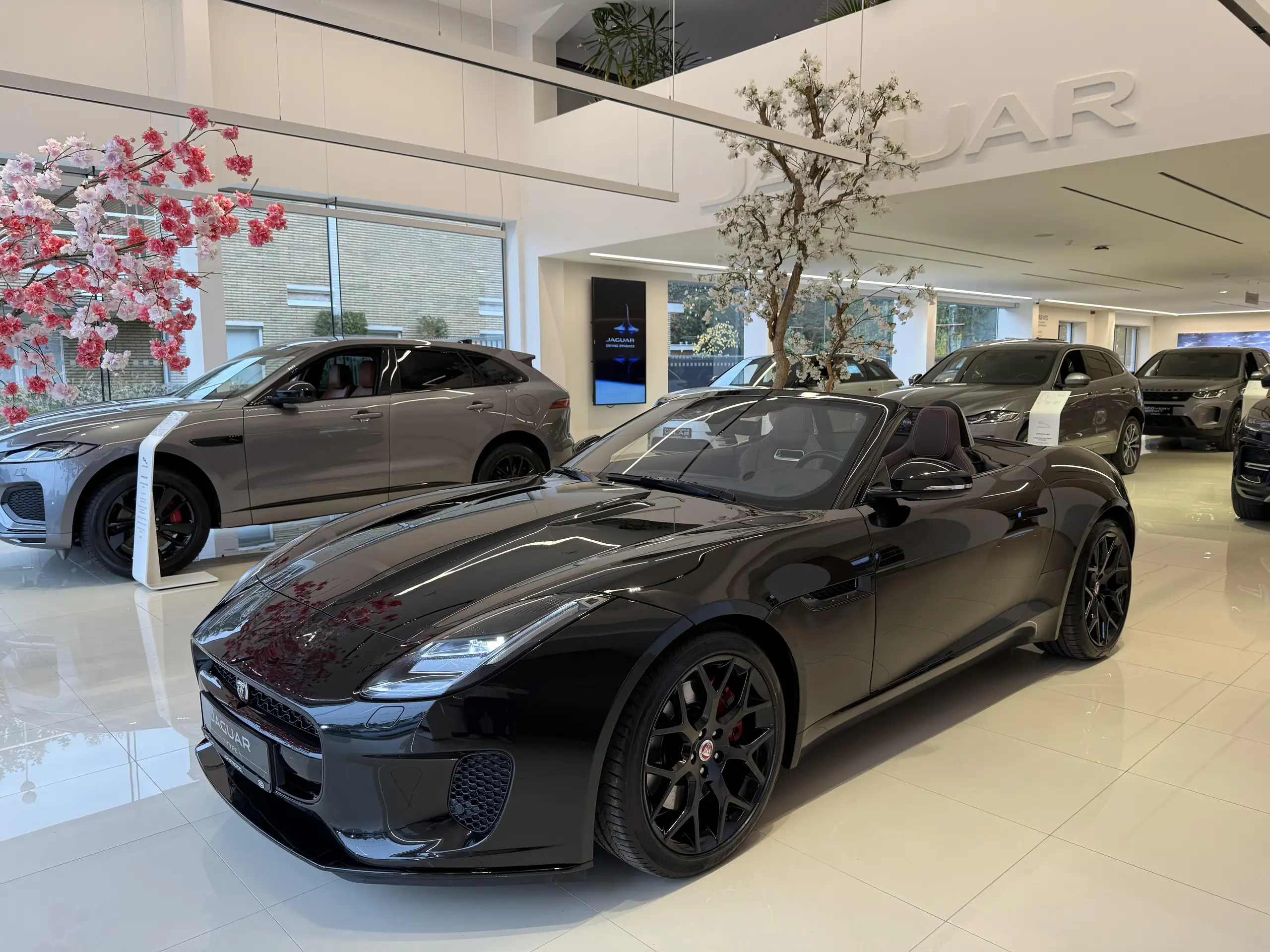 Jaguar - F-Type