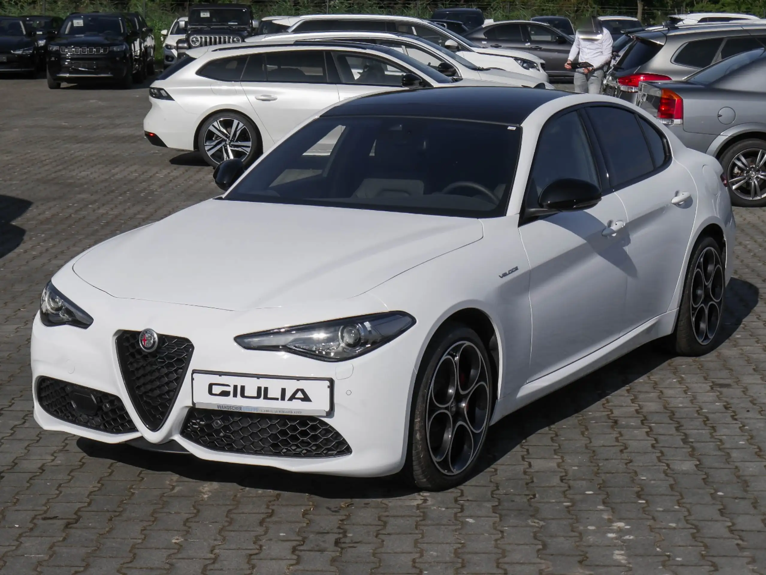 Alfa Romeo - Giulia