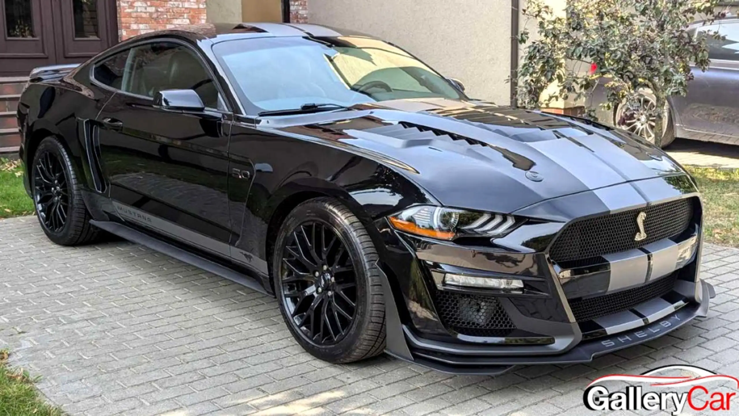 Ford - Mustang