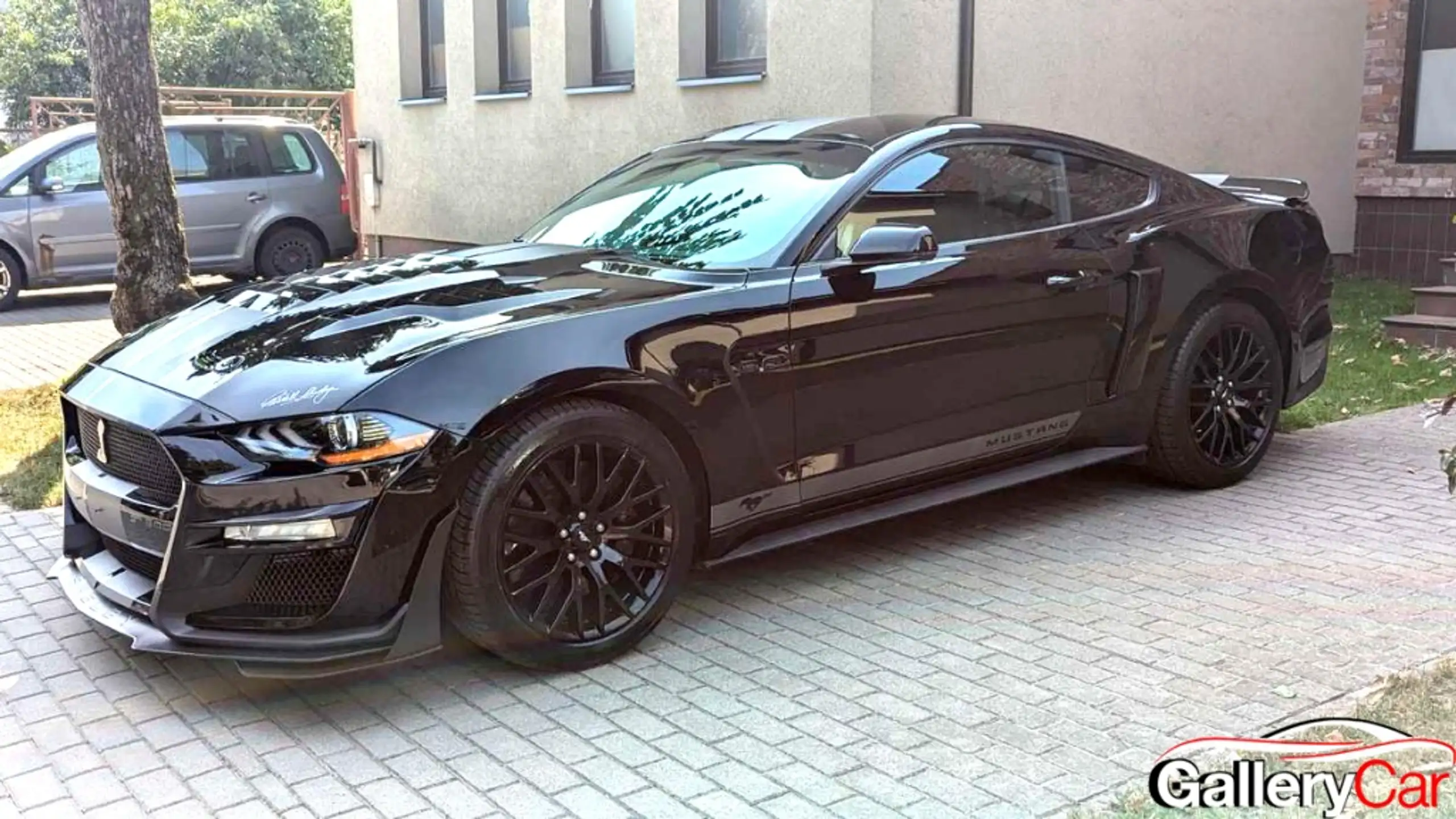 Ford - Mustang