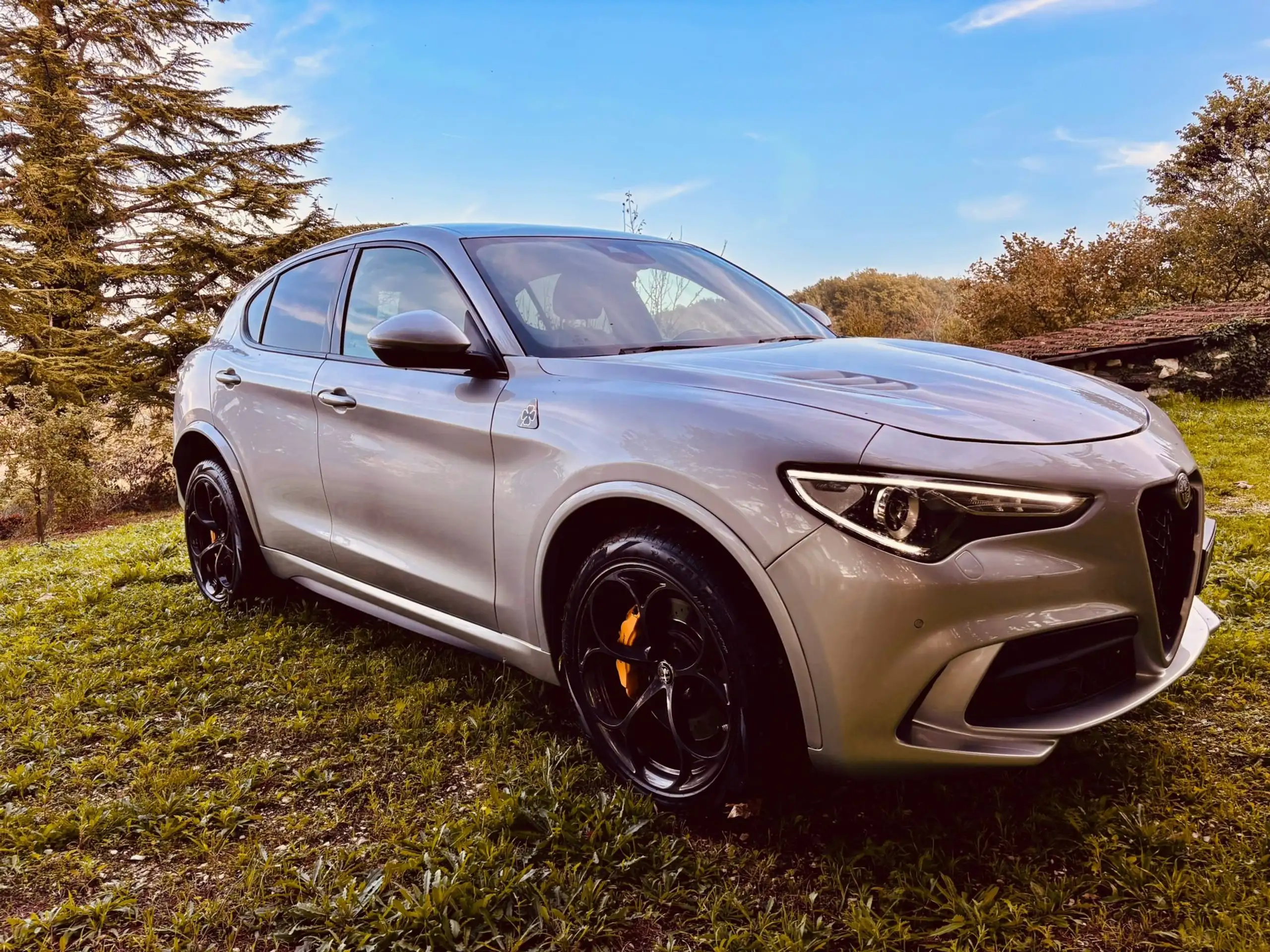 Alfa Romeo - Stelvio