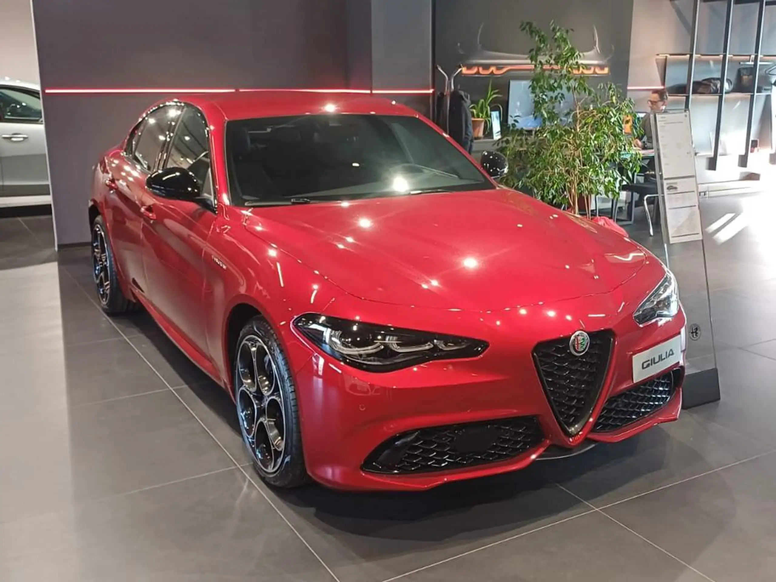 Alfa Romeo - Giulia