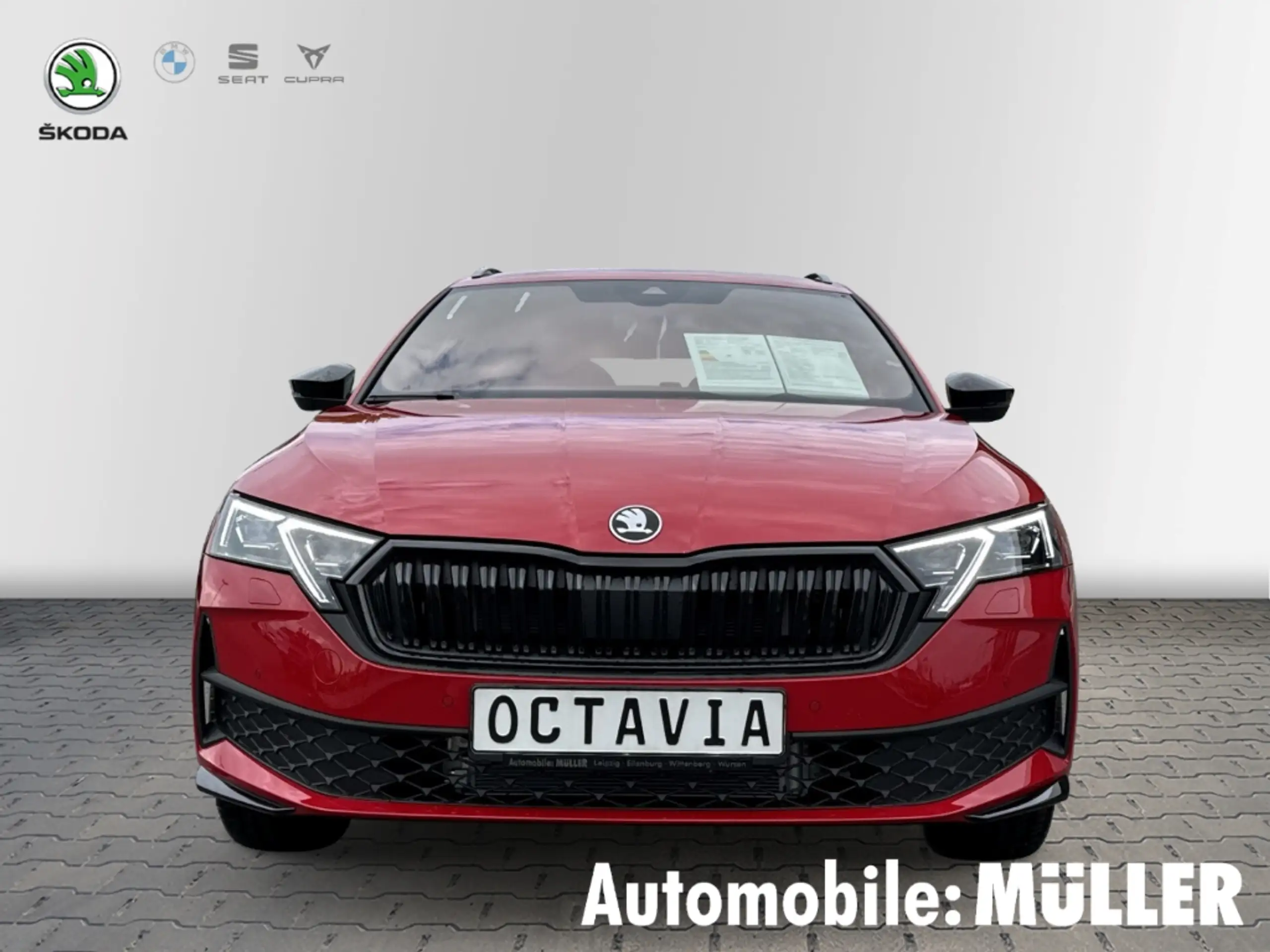 Skoda - Octavia