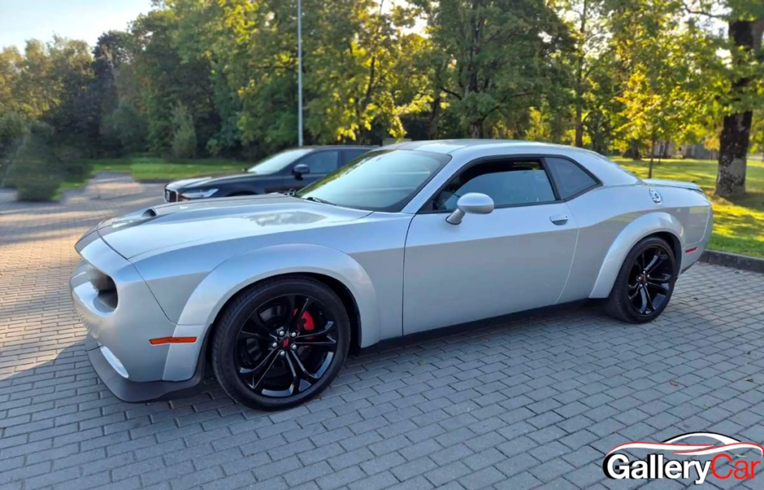 Dodge - Challenger