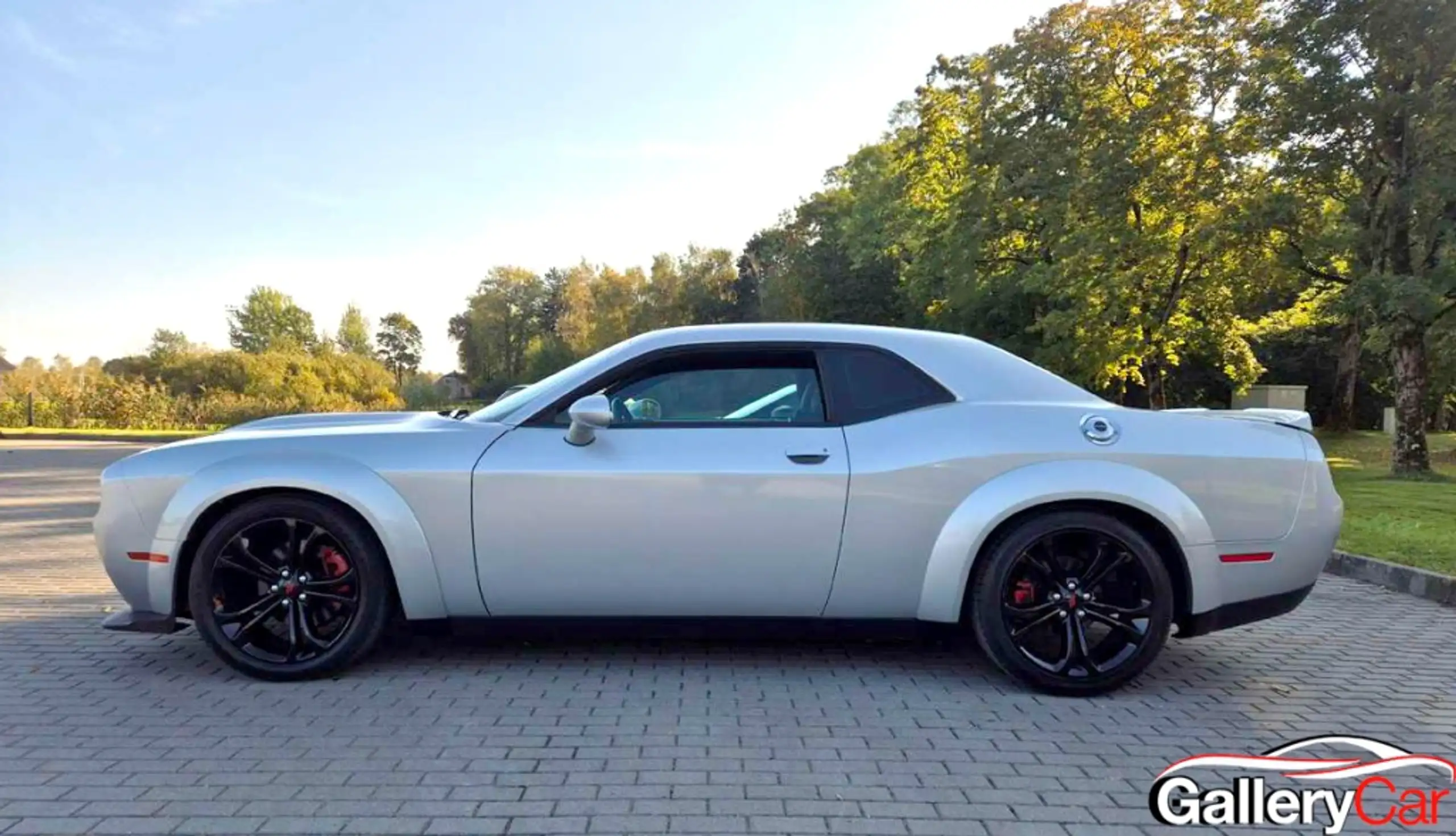 Dodge - Challenger