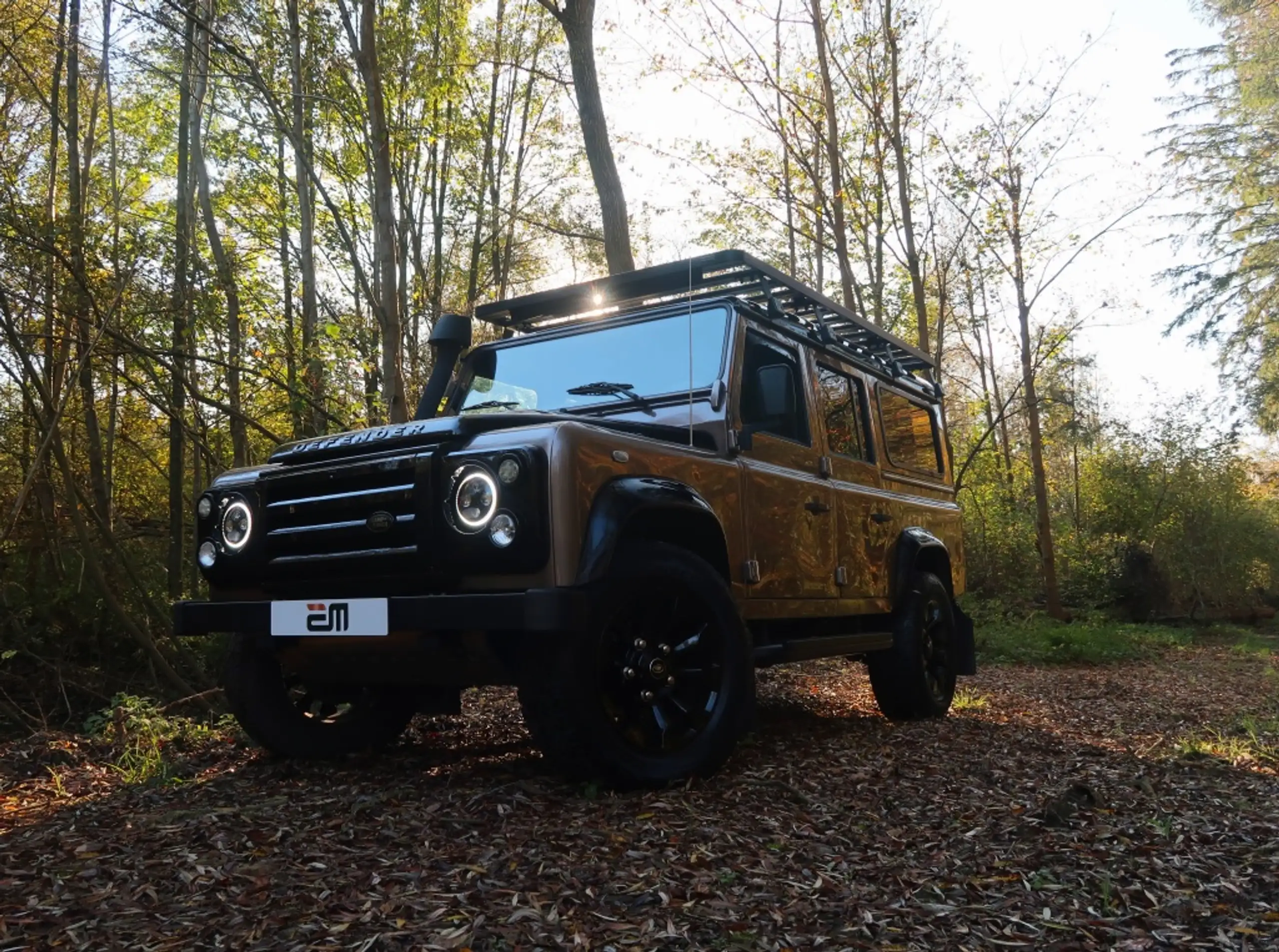 Land Rover - Defender