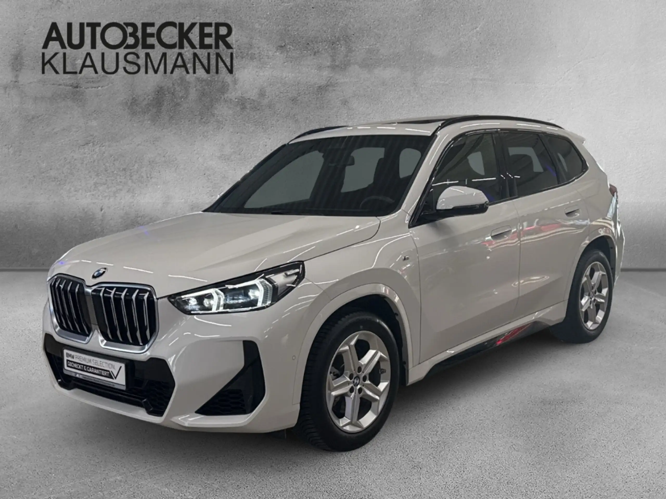 BMW - X1