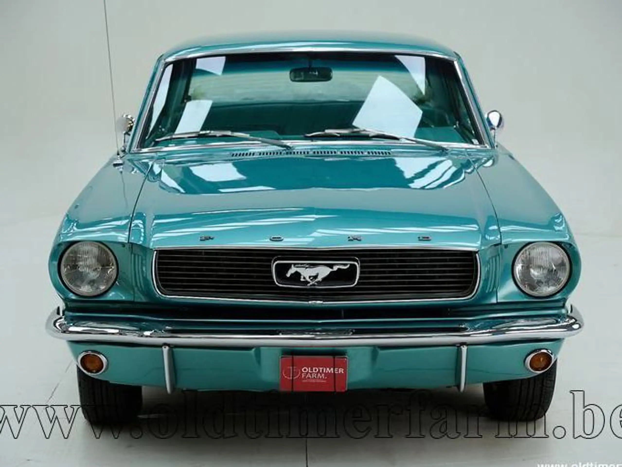 Ford - Mustang