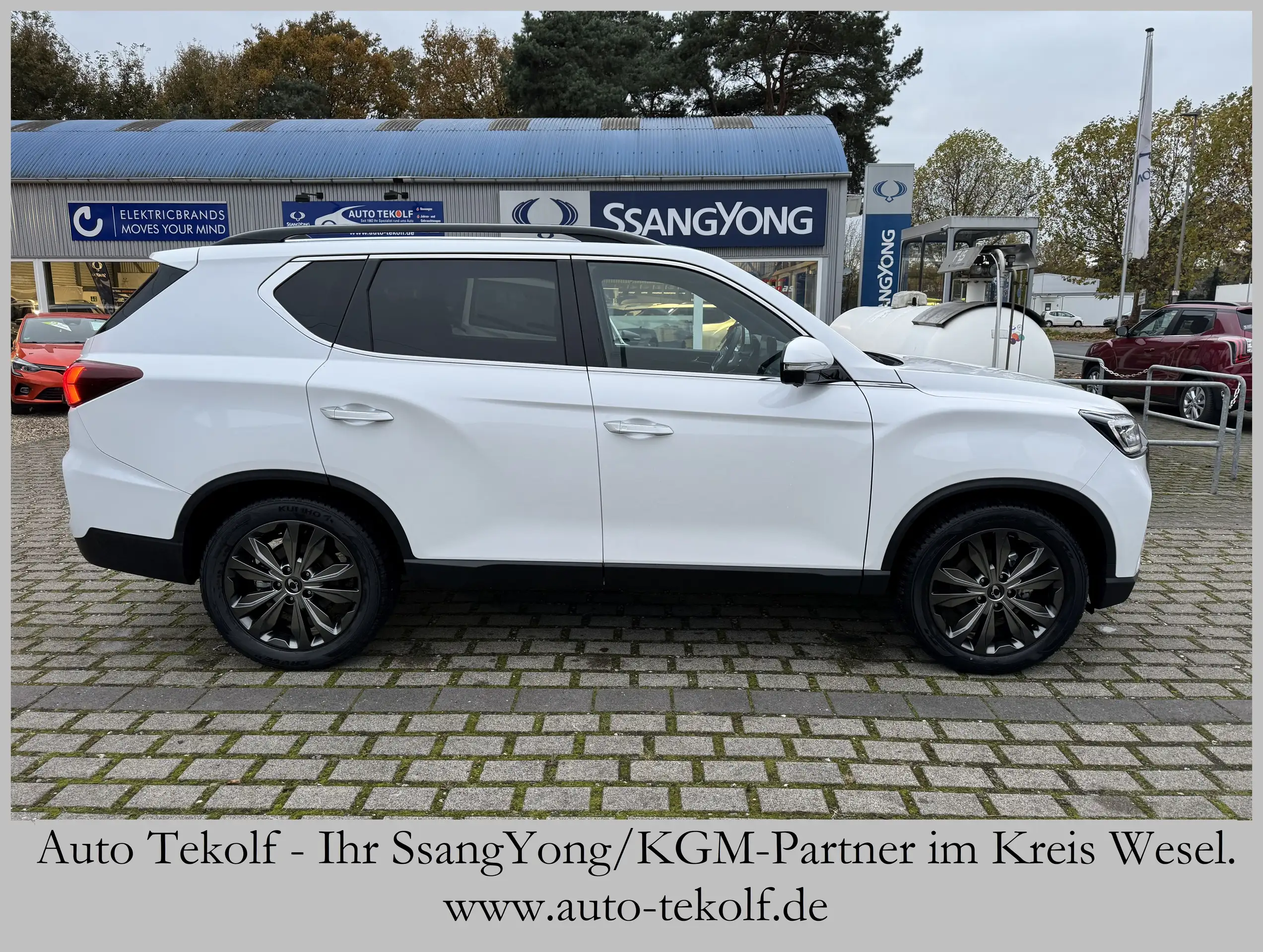 SsangYong - Rexton