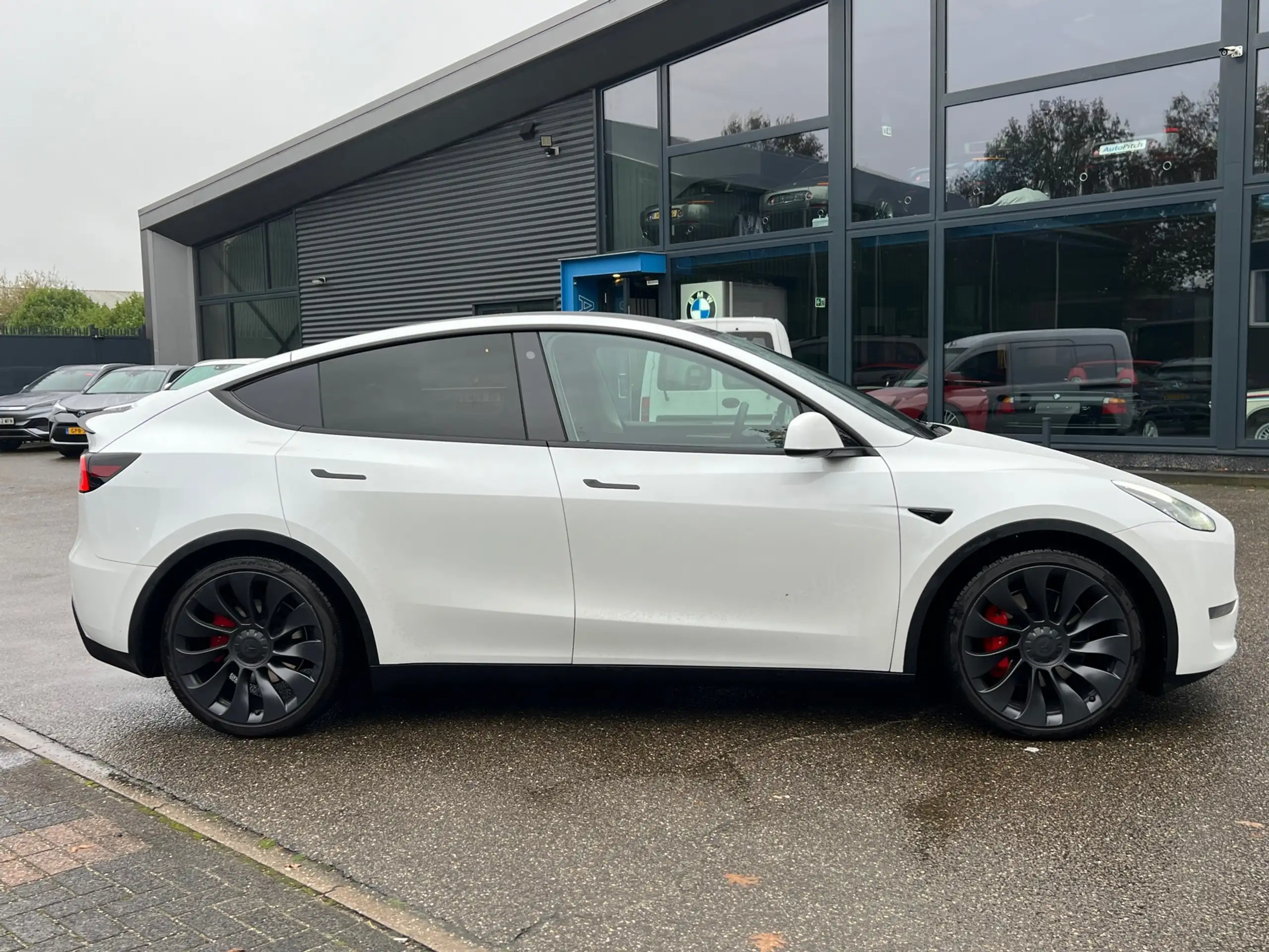 Tesla - Model Y