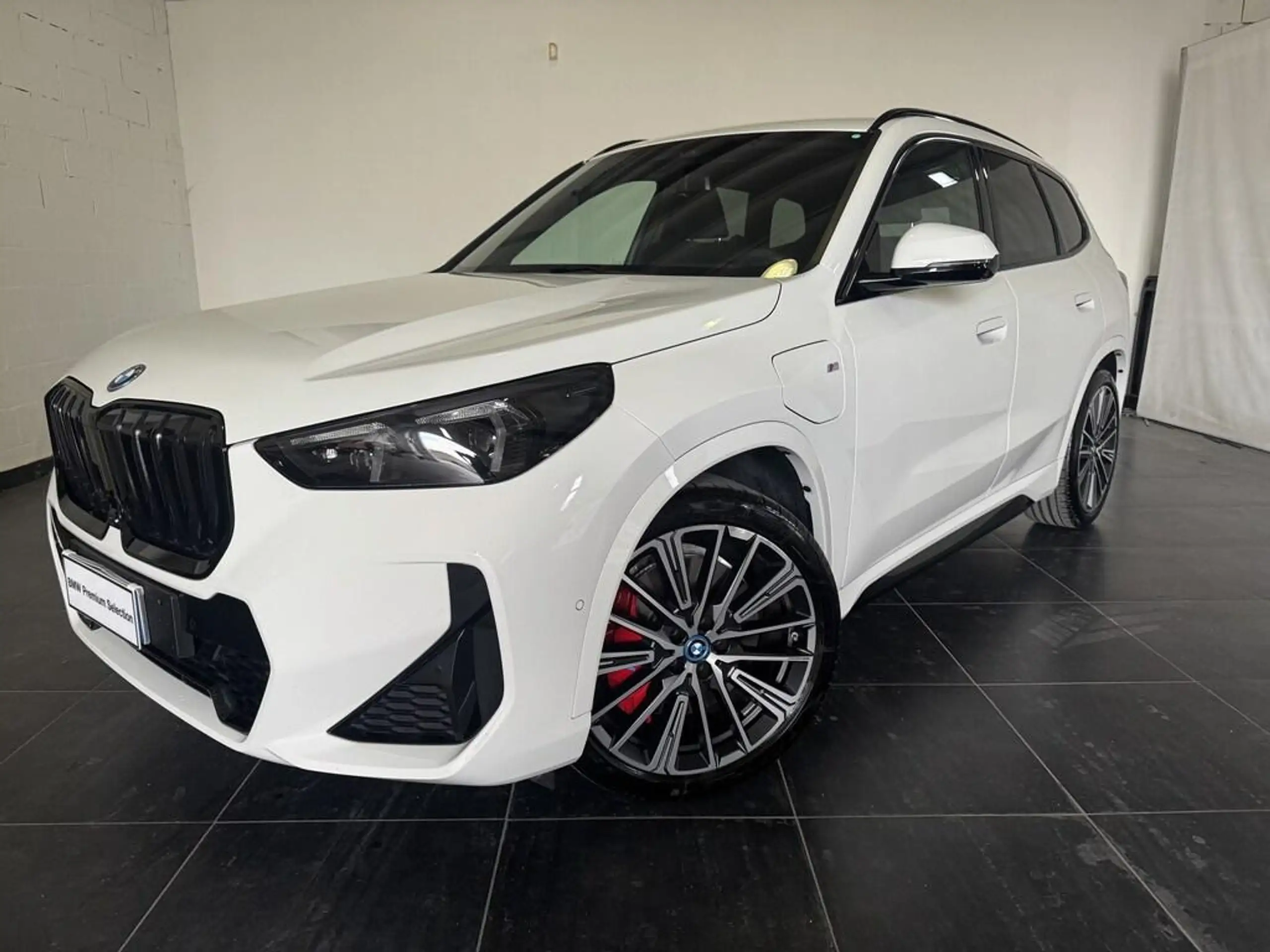 BMW - X1