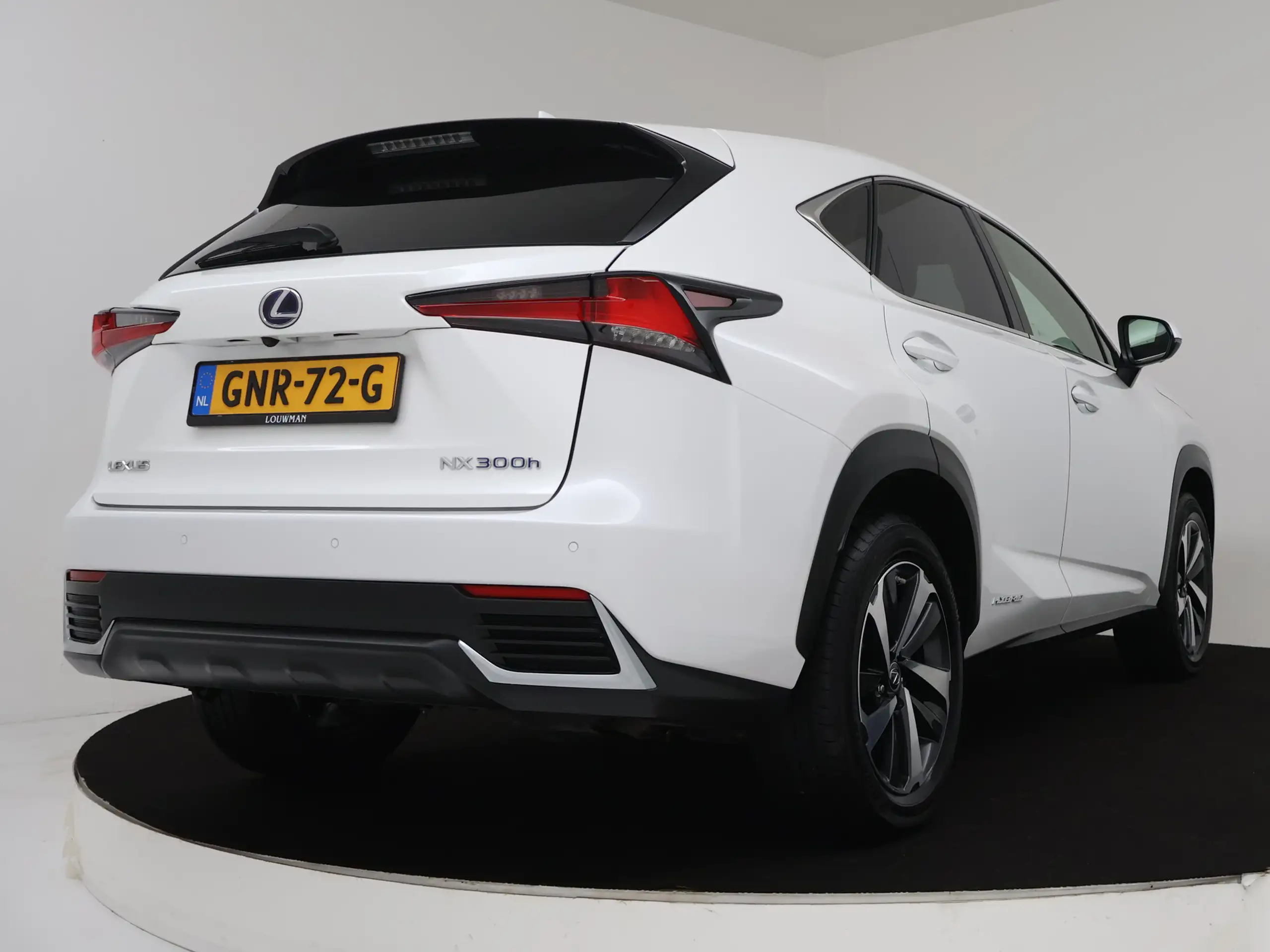 Lexus - NX 300h