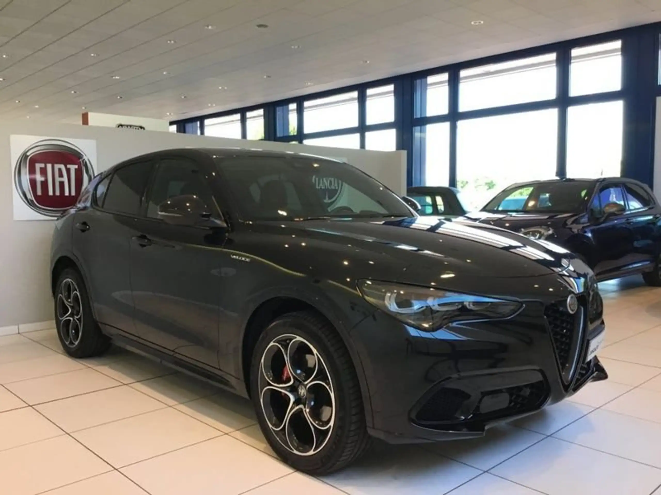 Alfa Romeo - Stelvio