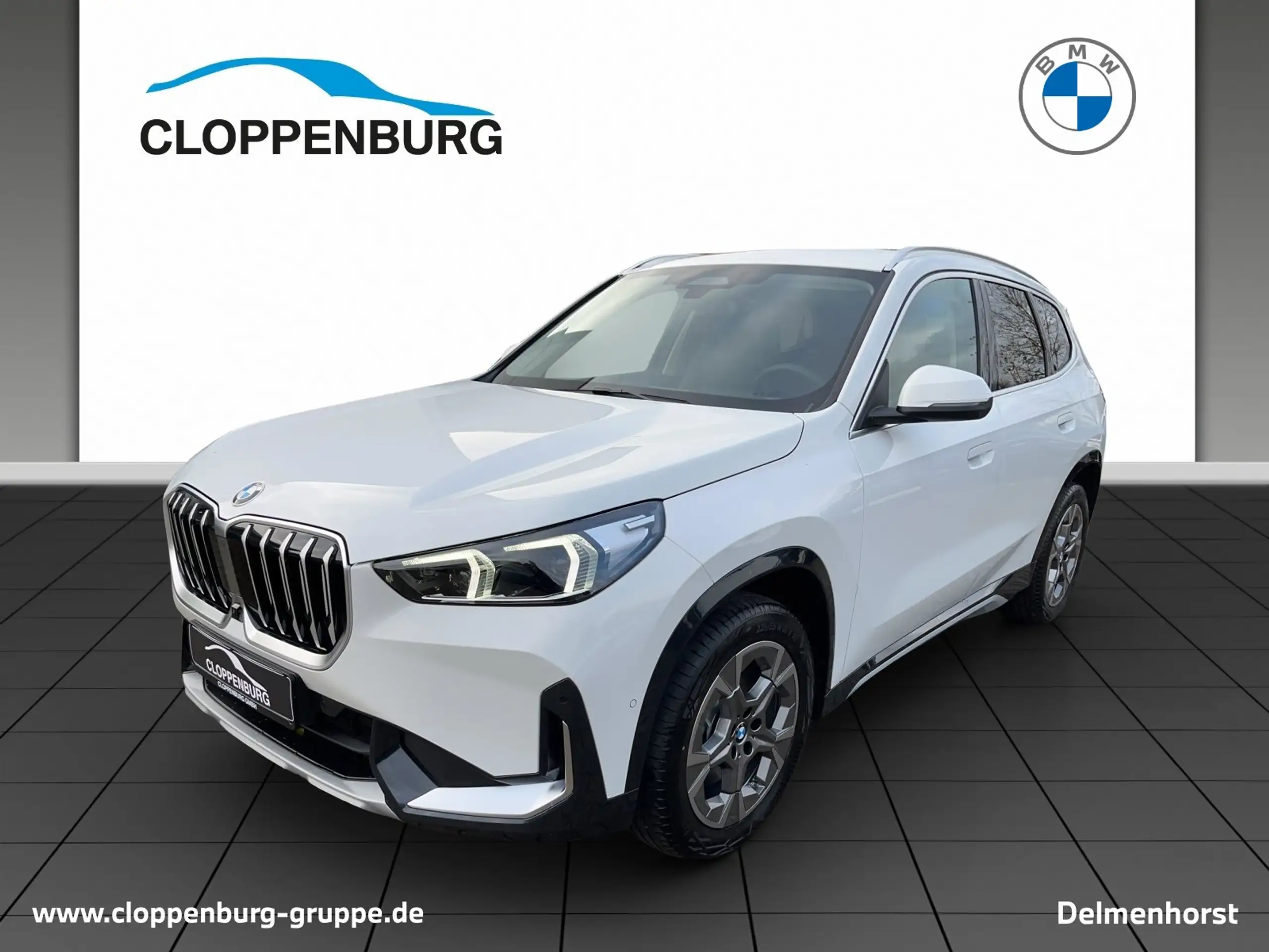 BMW - X1