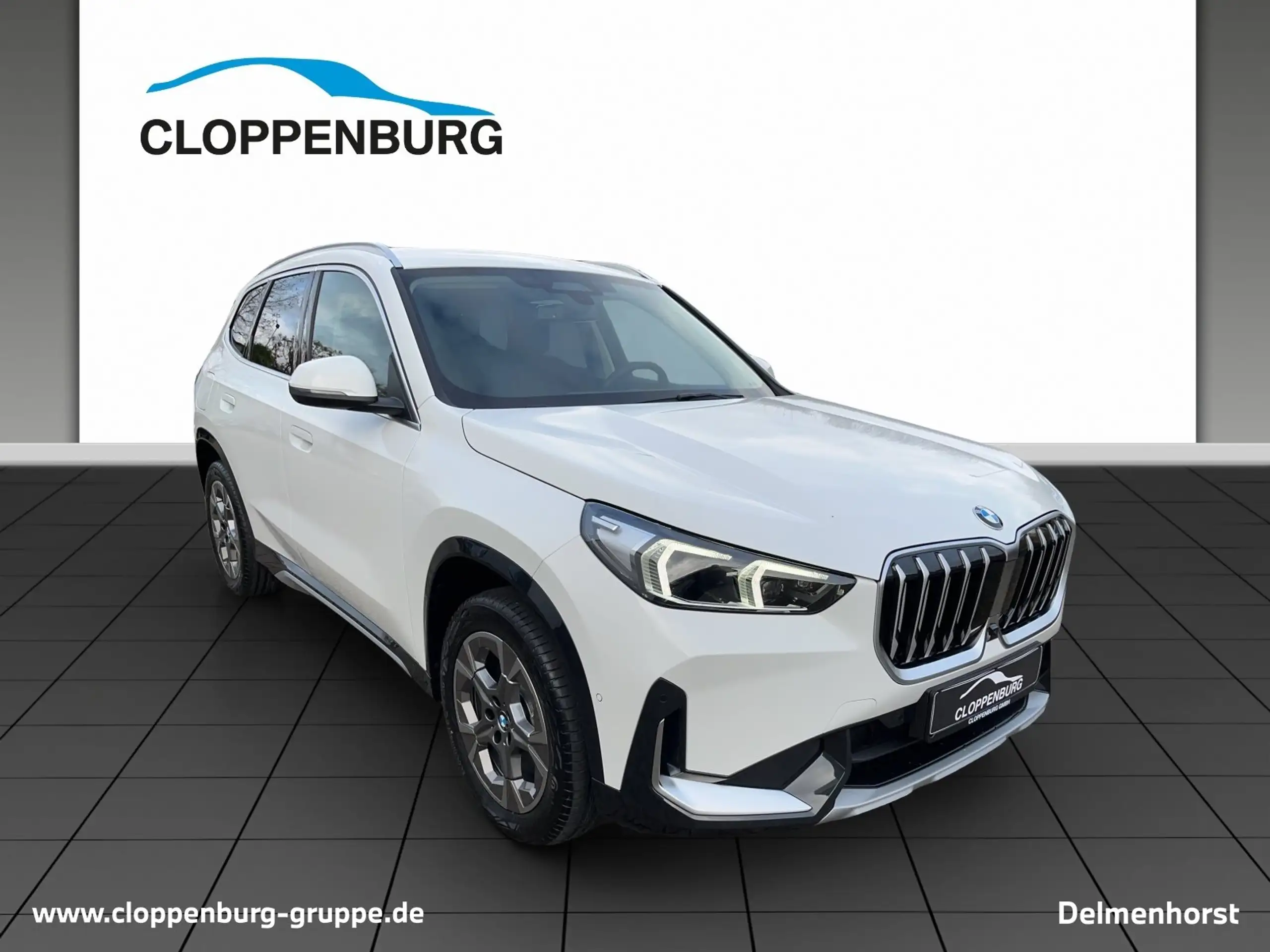 BMW - X1