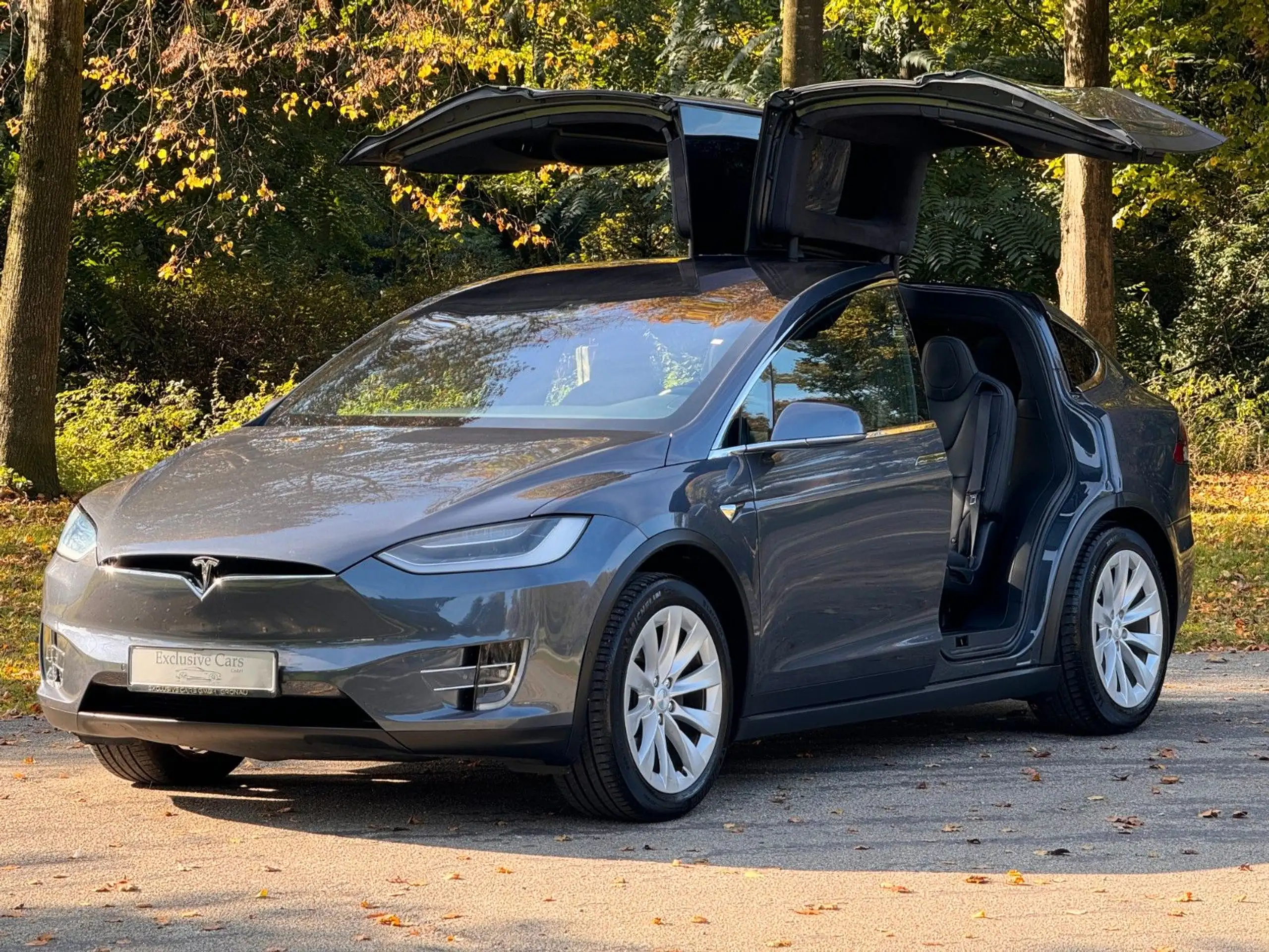 Tesla - Model X