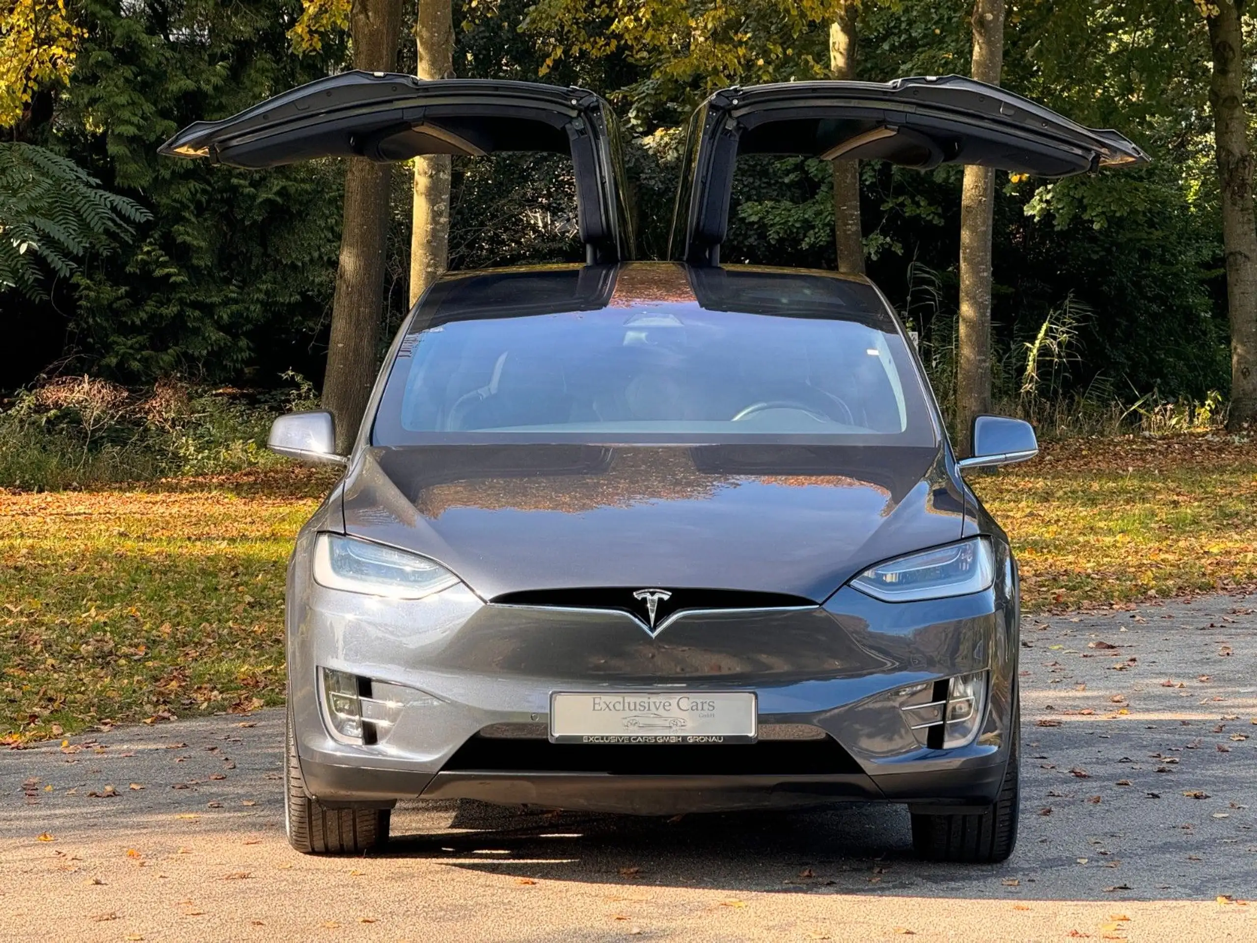 Tesla - Model X